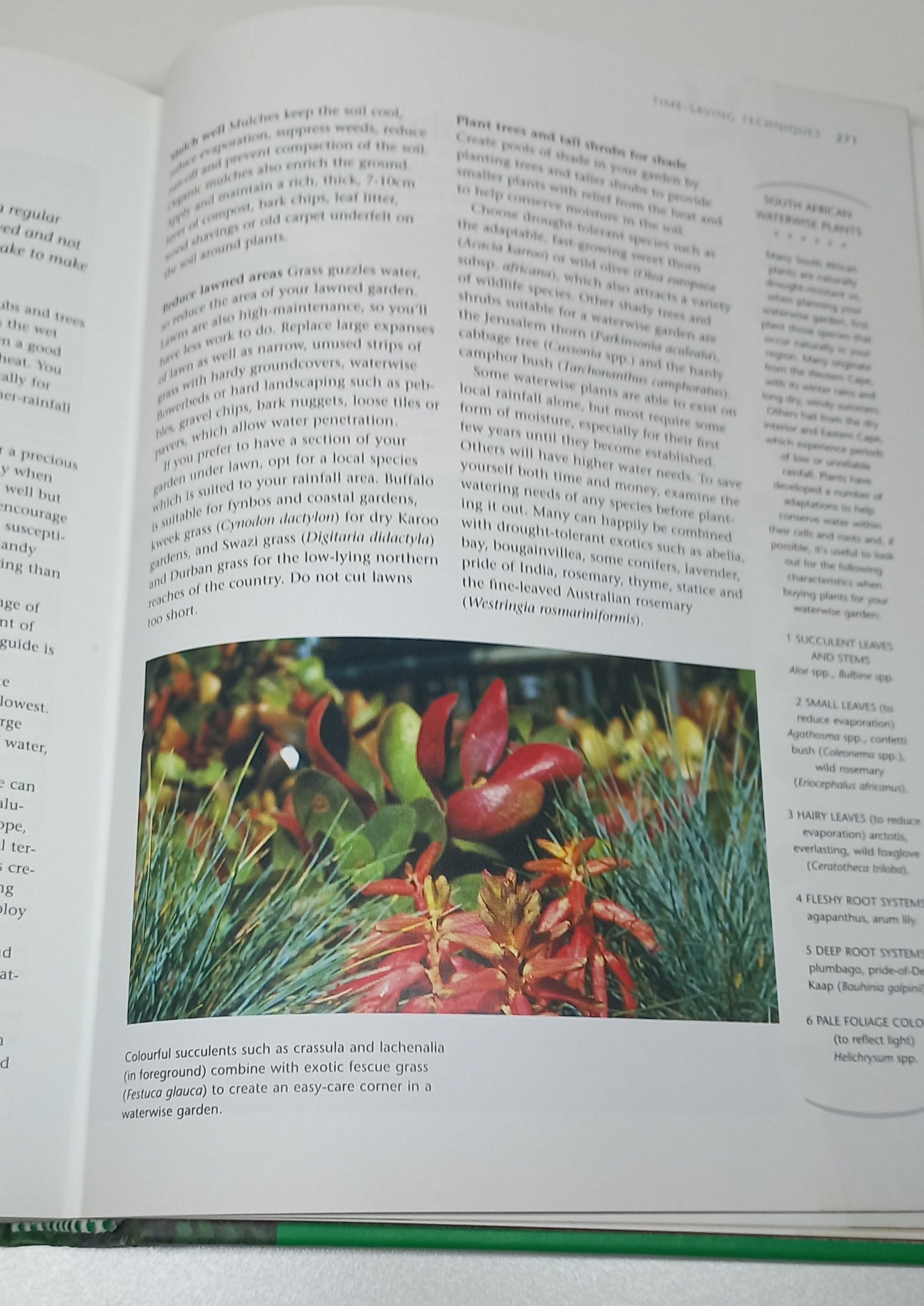 Short Cuts to Great Gardens