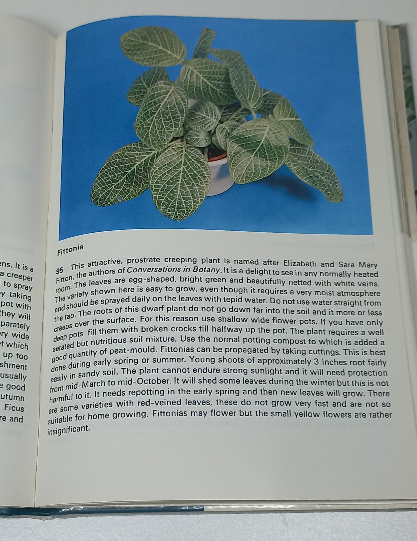 200 House Plants in Colour by G. Kromdijk