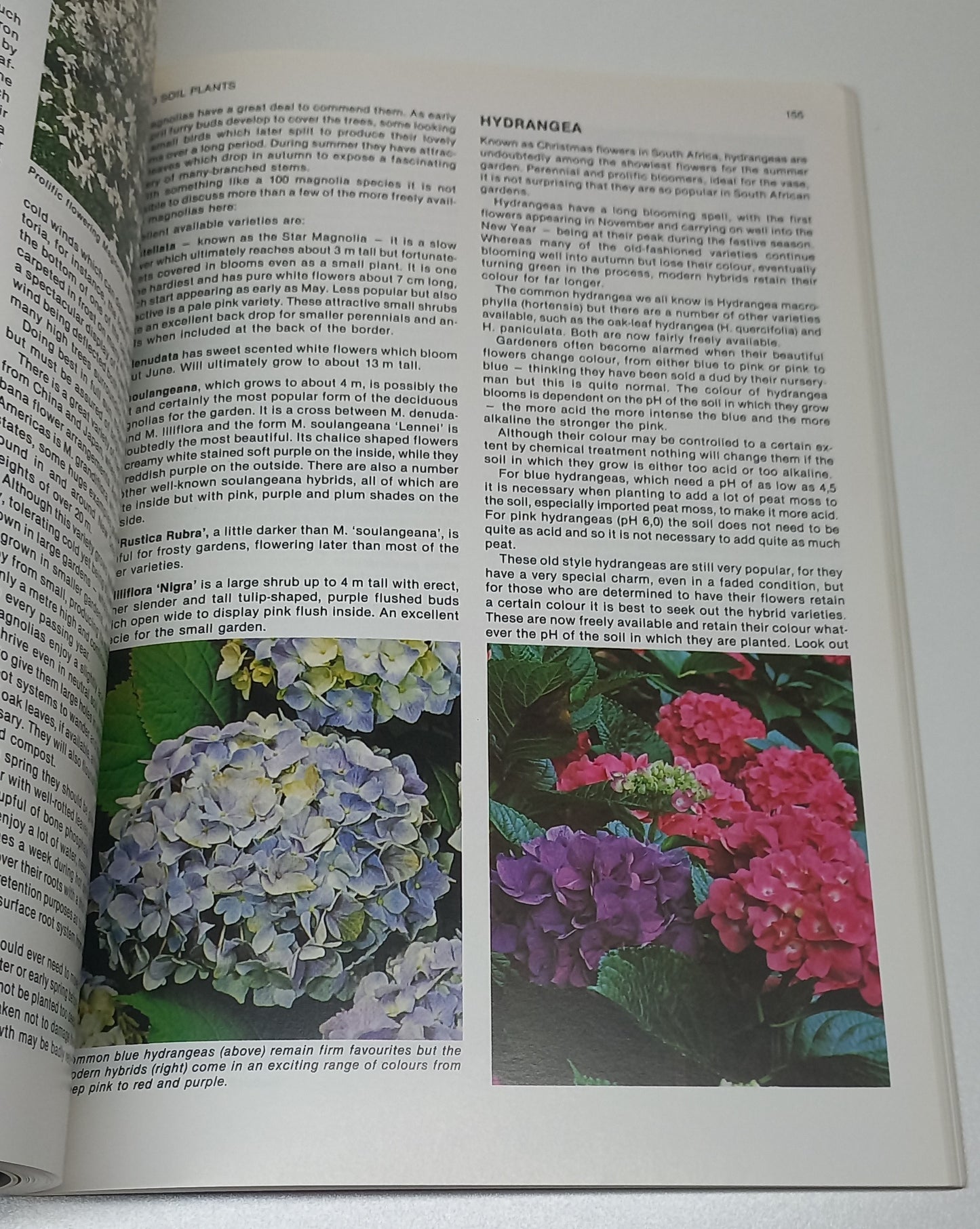 Keith Kirsten's South African Garden Manual
