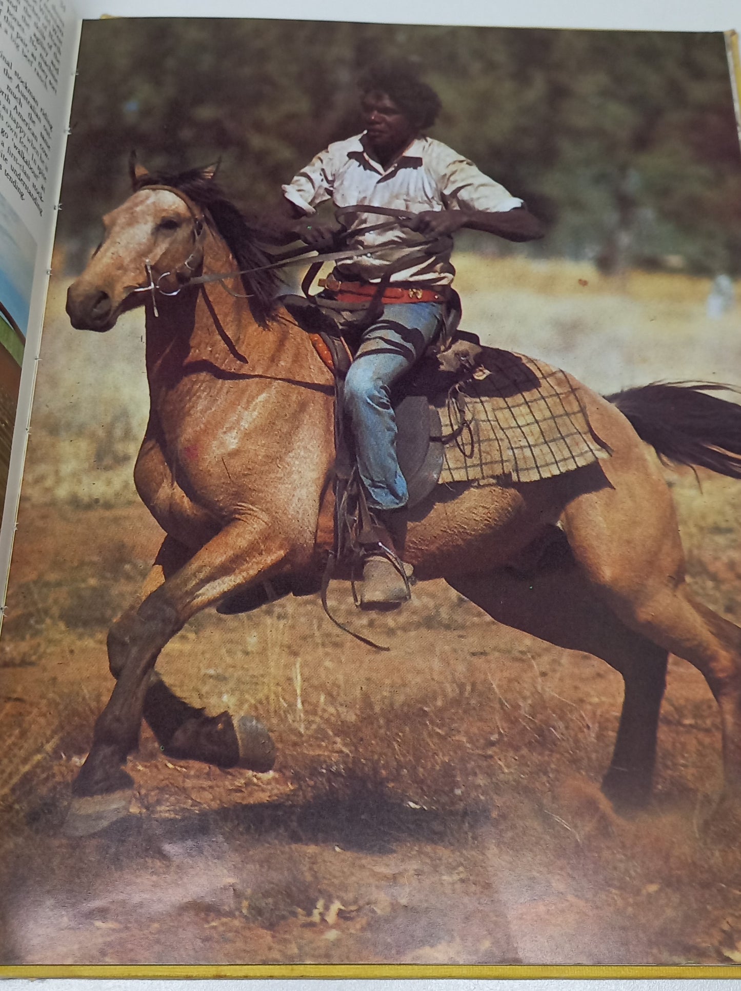 All Colour Book of Horses by Elizabeth Johnson