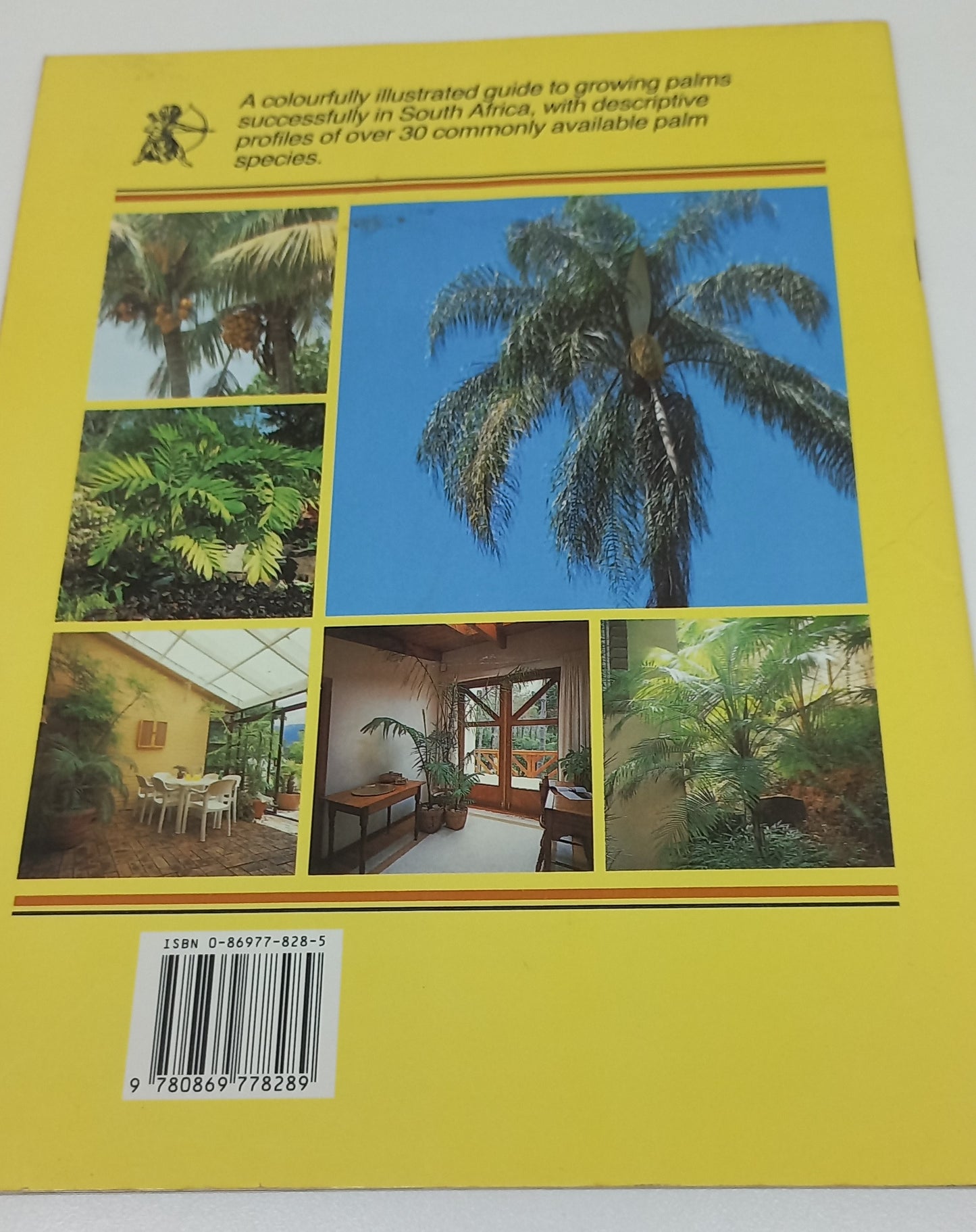 Palms by Jennifer Simpson - English