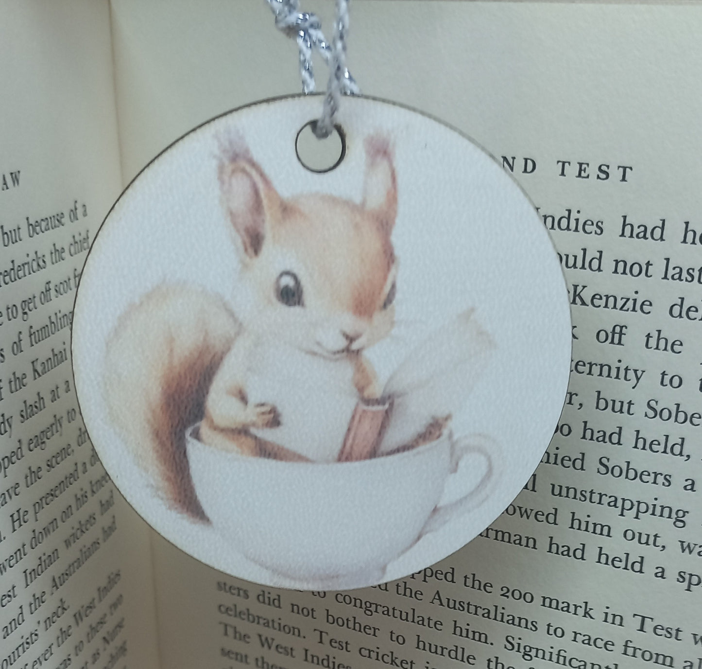 Baby Squirrel Reading A Book In A Teacup