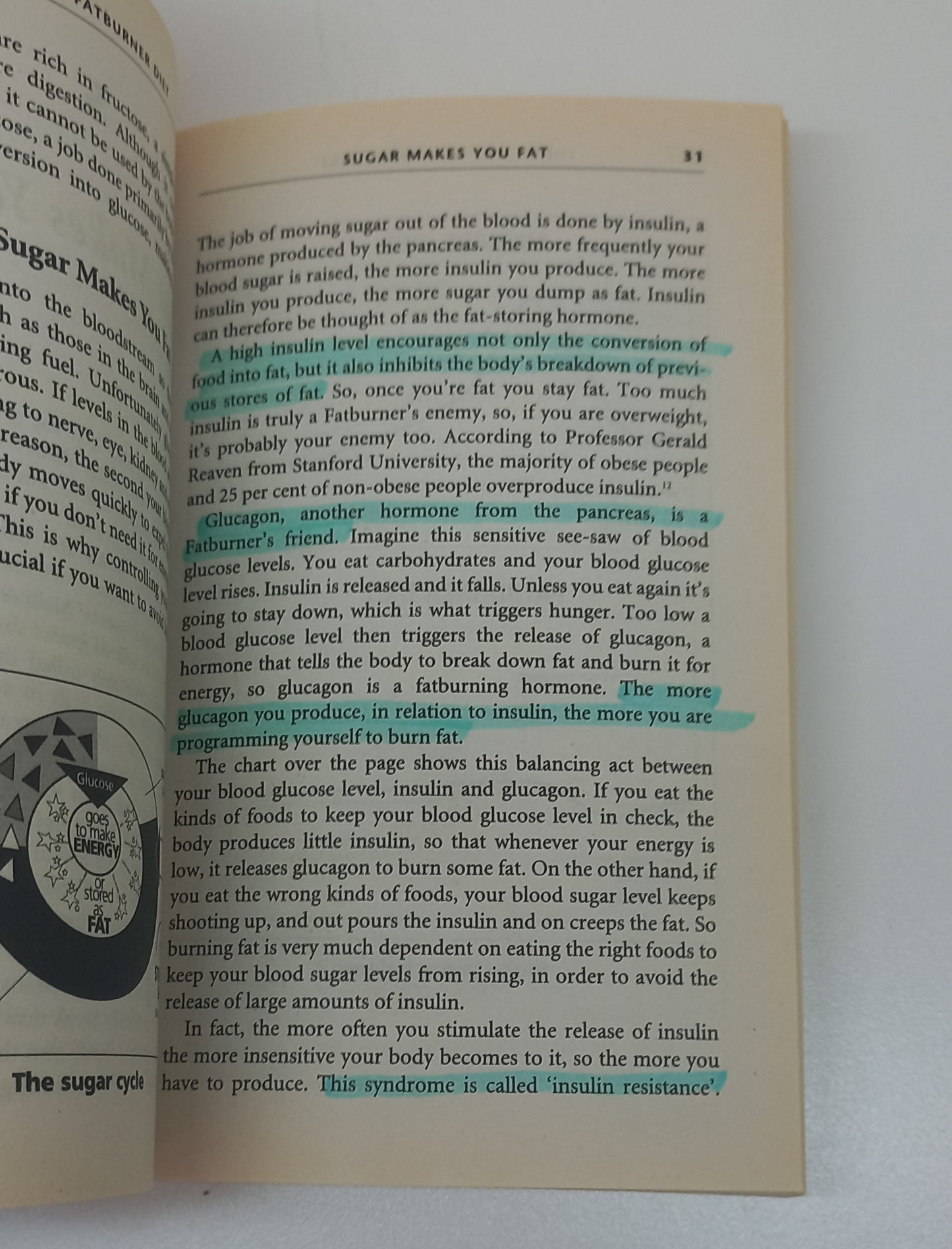 The 30 Day Fat Burner Diet