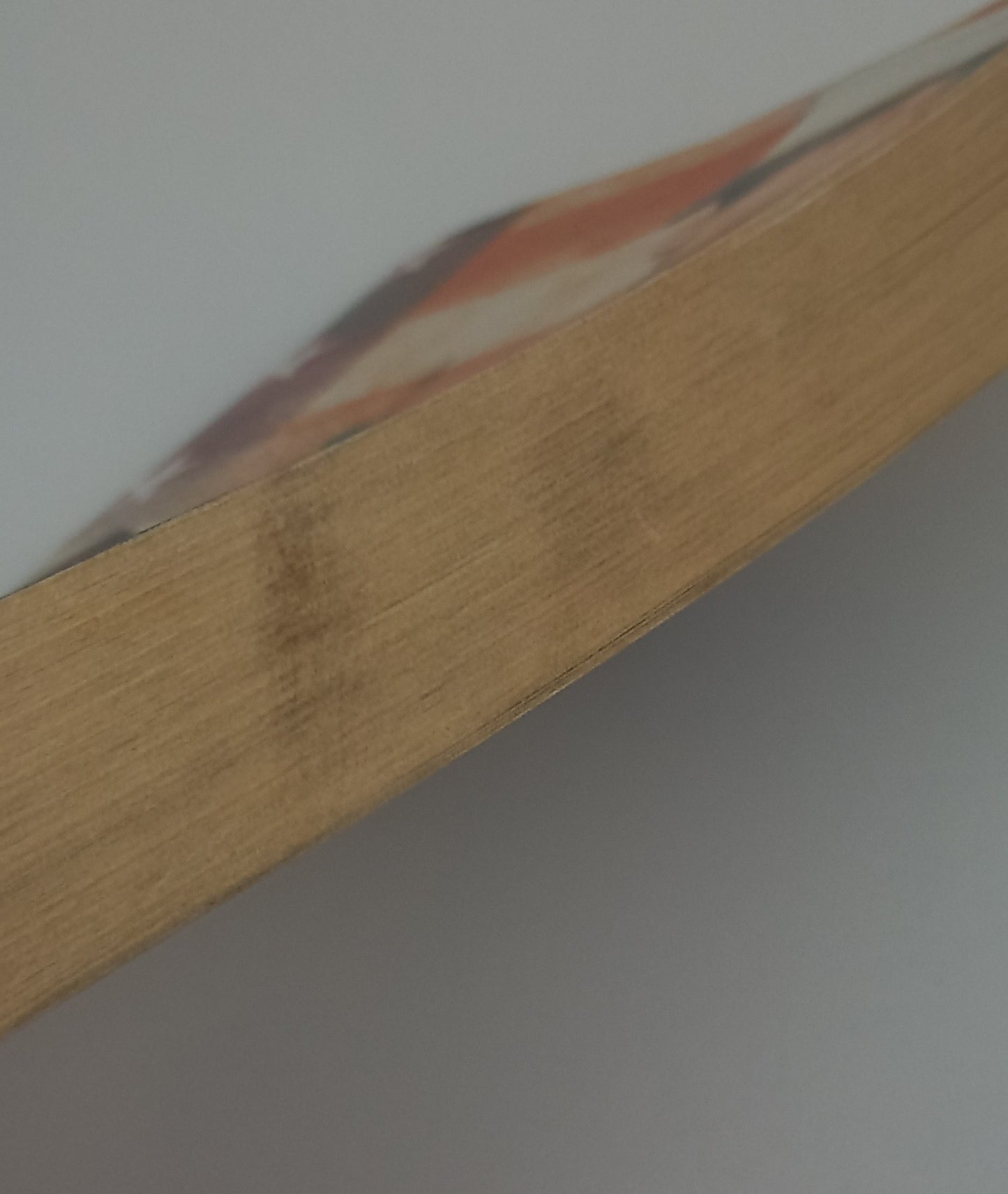 Inside Story: A novel by Susan Page Davis