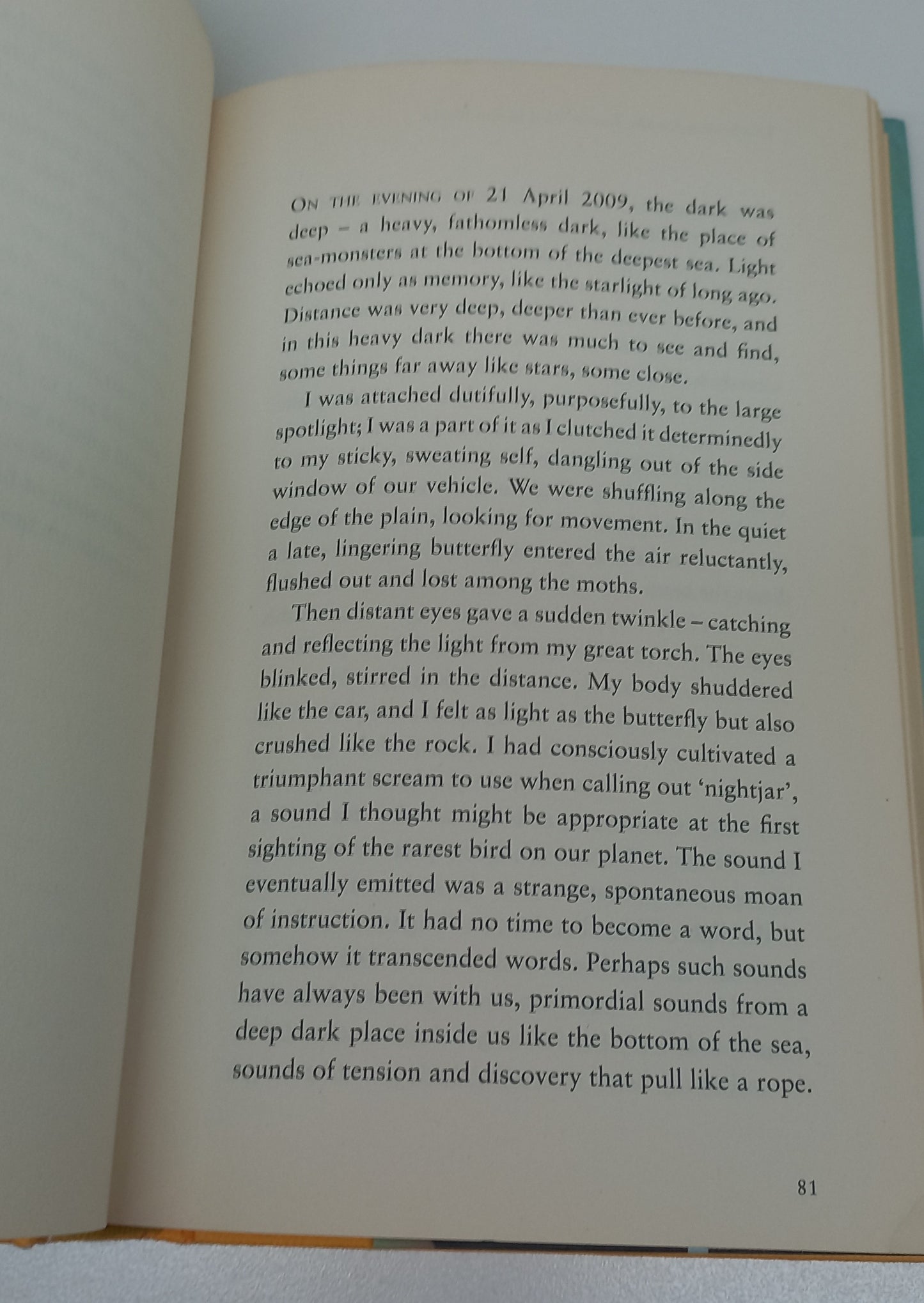 The Search for the Rarest Bird in the World by Vernon R.L. Head