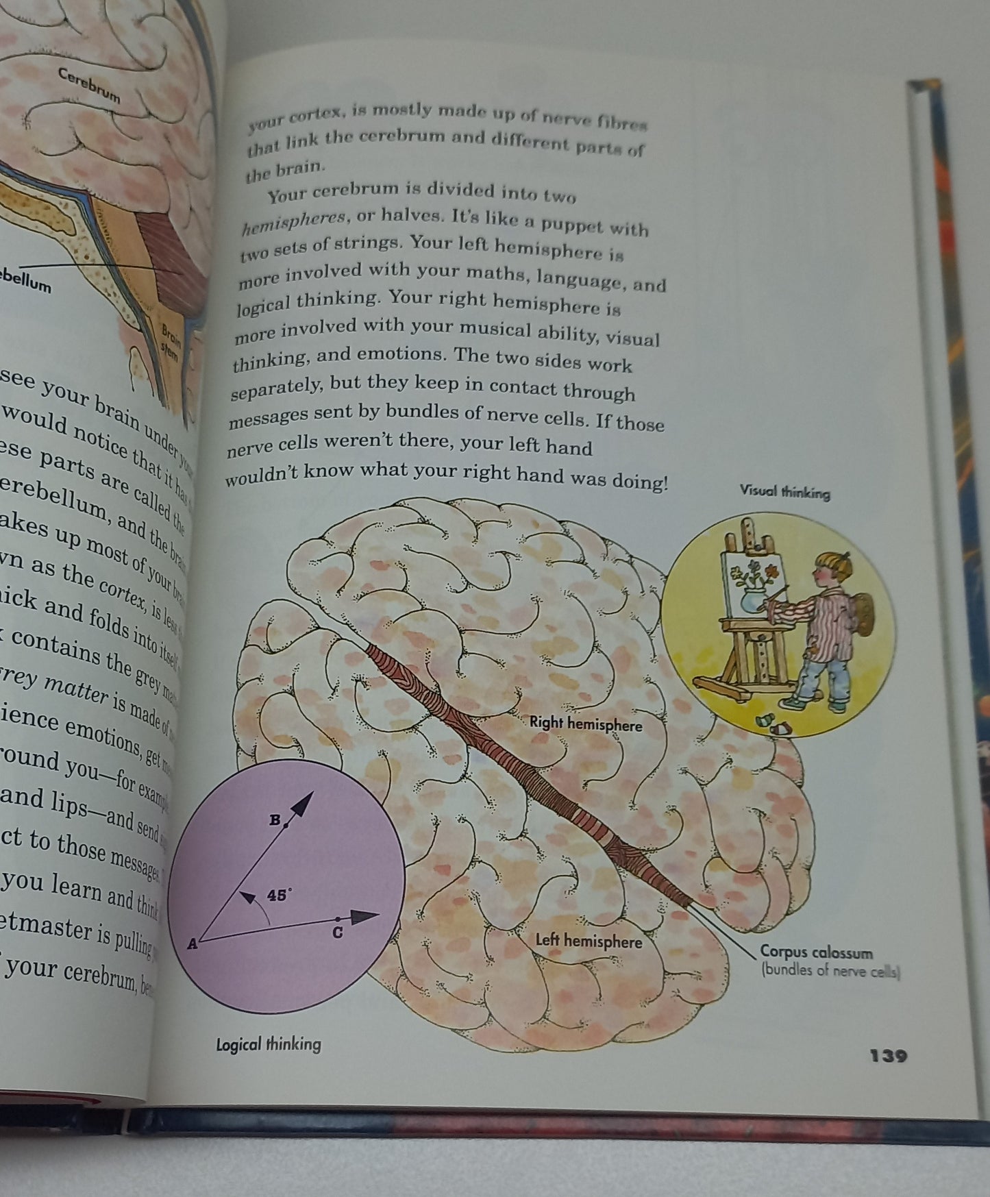 Our Amazing Bodies Childcraft Annual (1996)