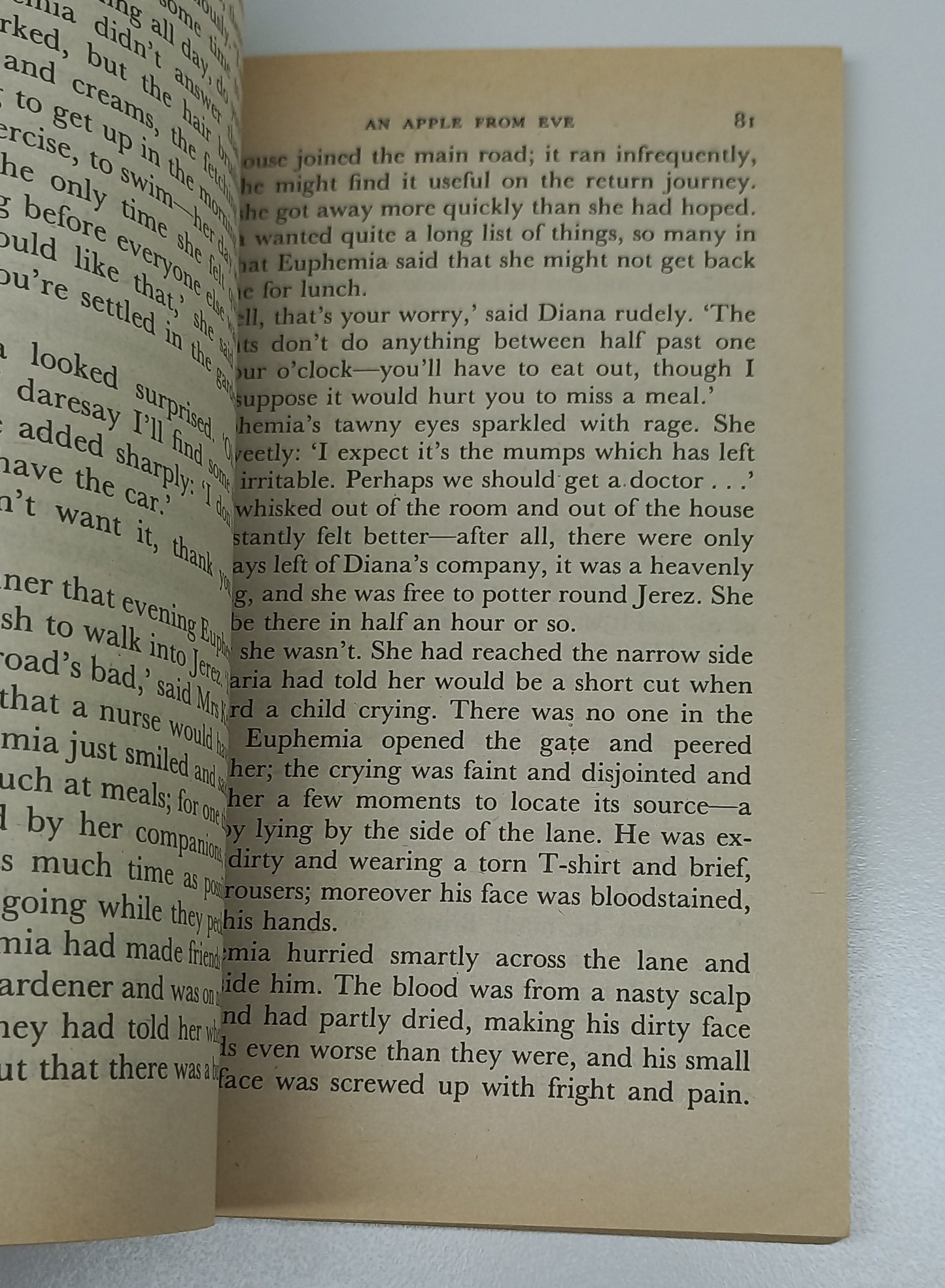 An Apple from Eve by Betty Neels Mills & Boon 1981