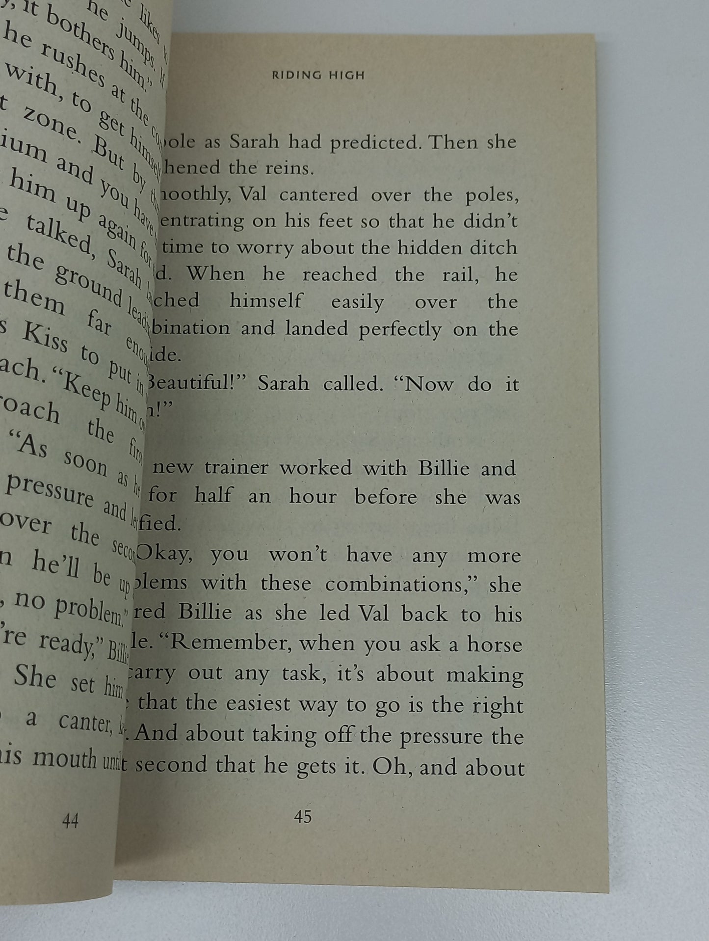 Riding High by Donna King