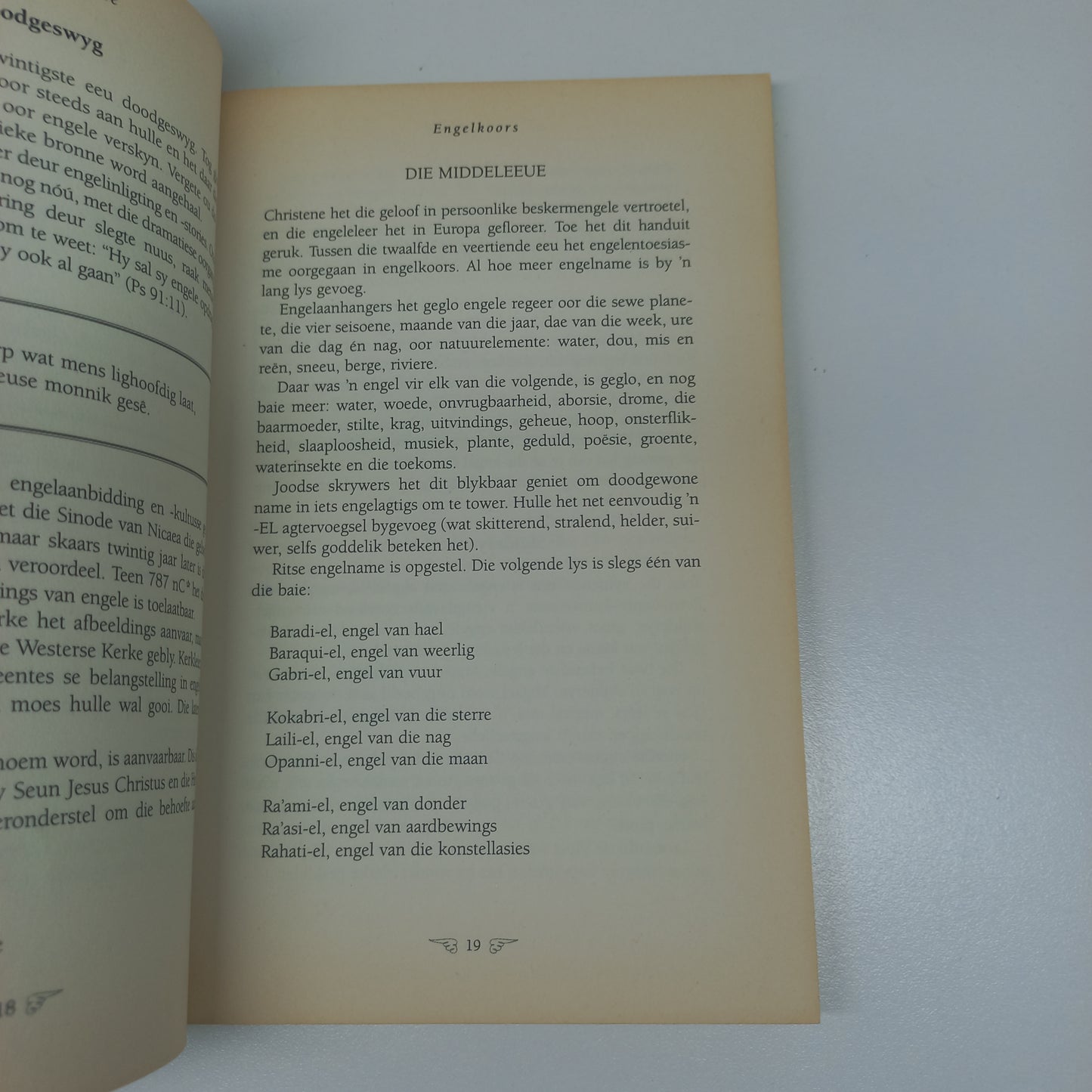 Reis Met Engele by Emsie Schoeman