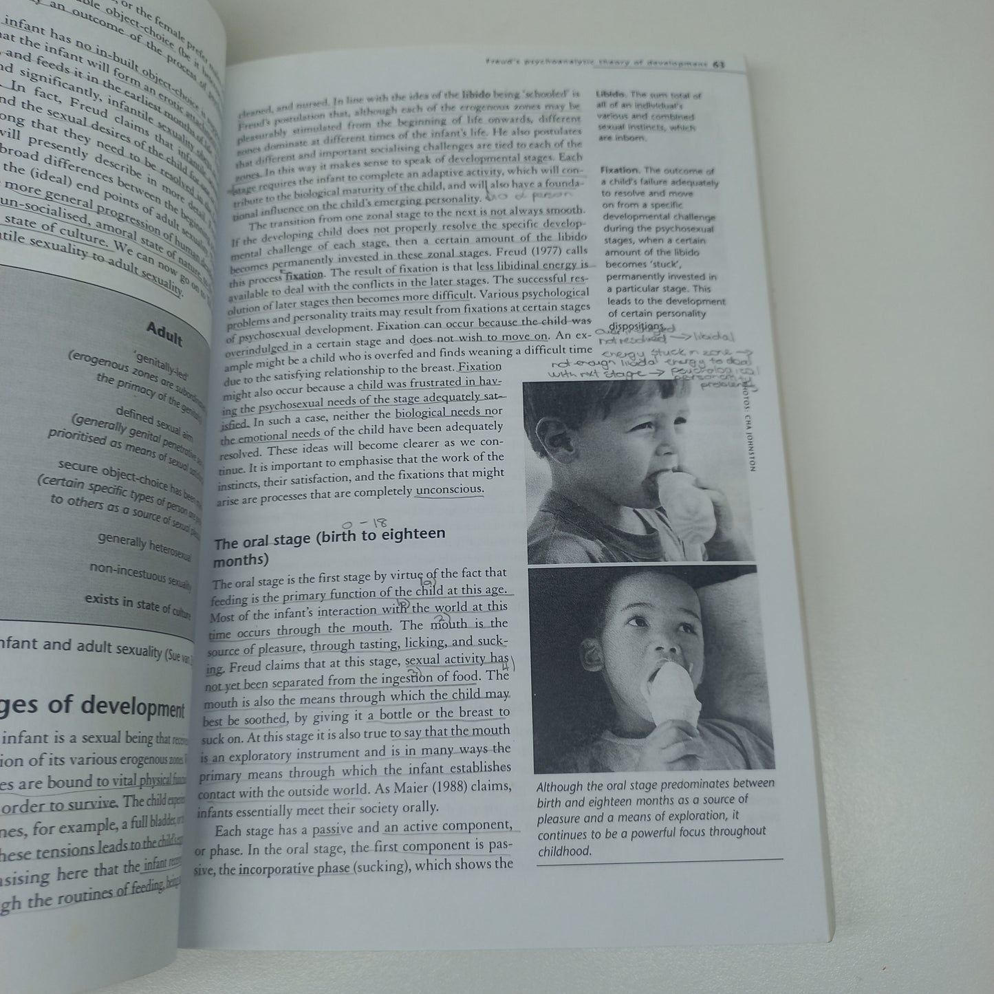 Developmental Psychology Edited by D. Hook, J. Watts & K. Cockcroft (2002)