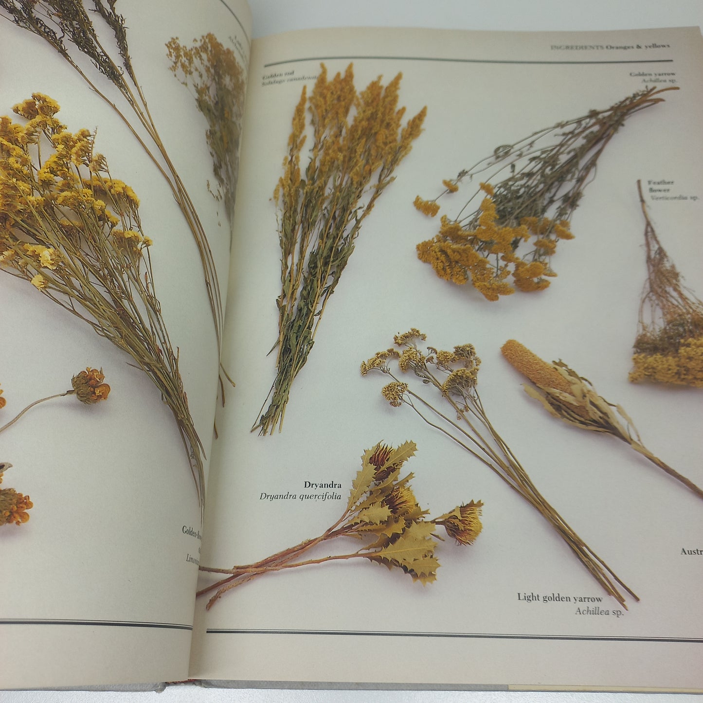 The Complete Book of Dried Flowers by Malcolm Hillier & Colin Hilton