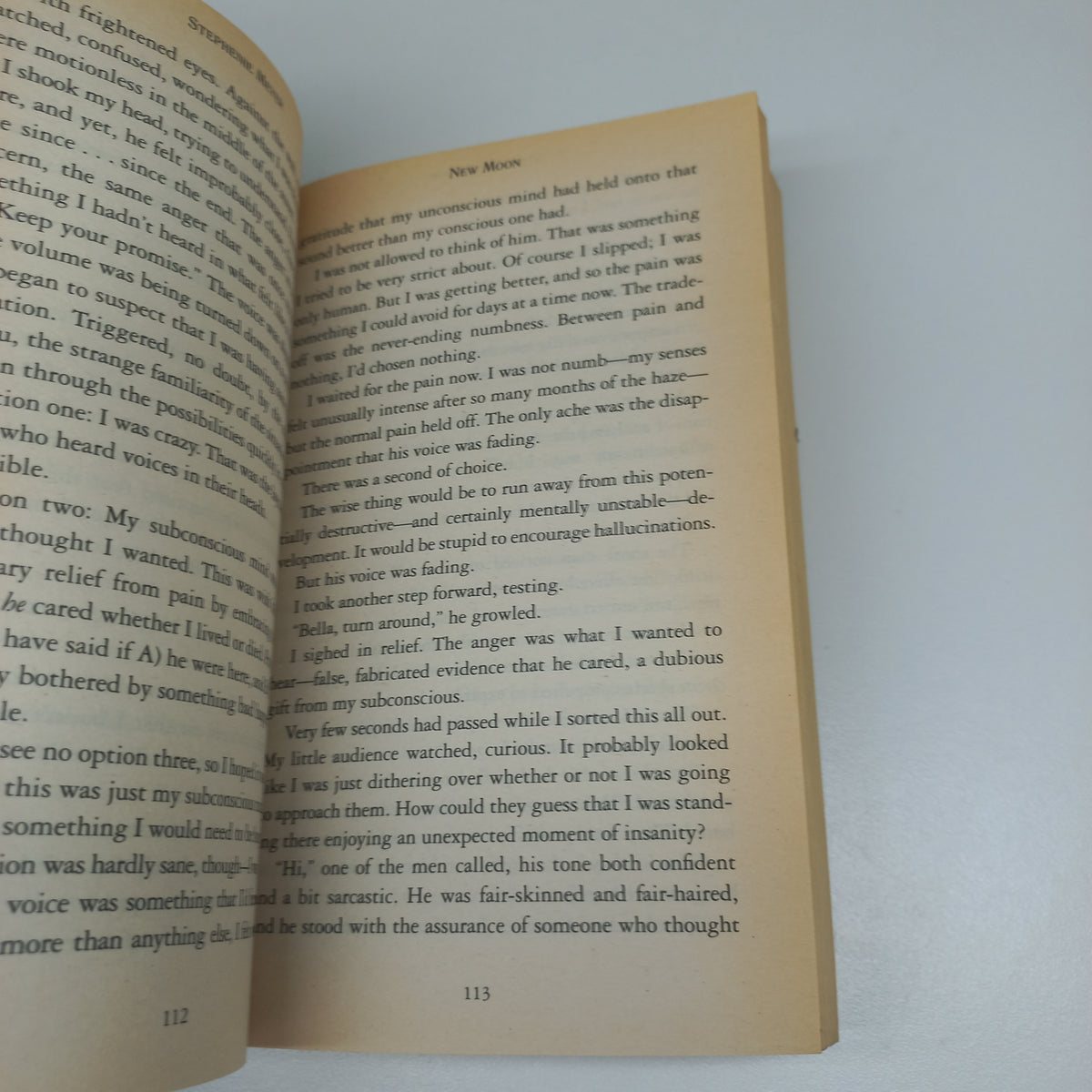 New Moon by Stephanie Meyer (The Twilight Saga #2)