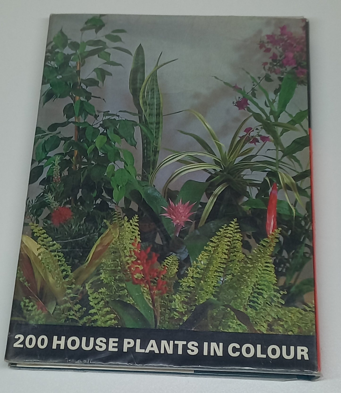 200 House Plants in Colour by G. Kromdijk