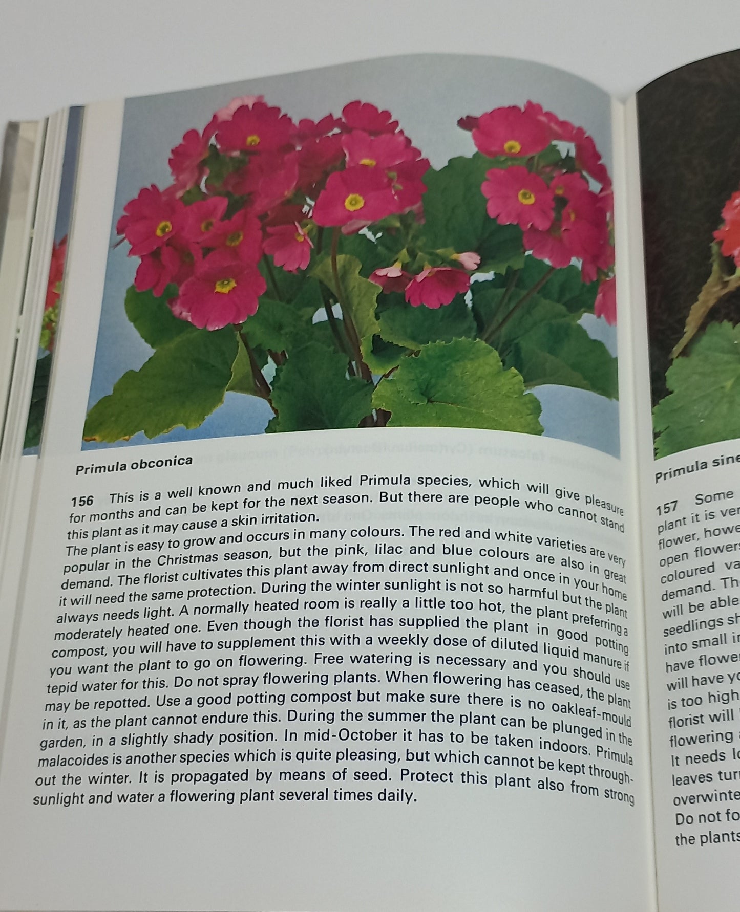 200 House Plants in Colour by G. Kromdijk
