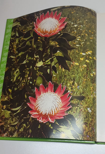 Struike Vir Die Tuin by Una van der Spuy