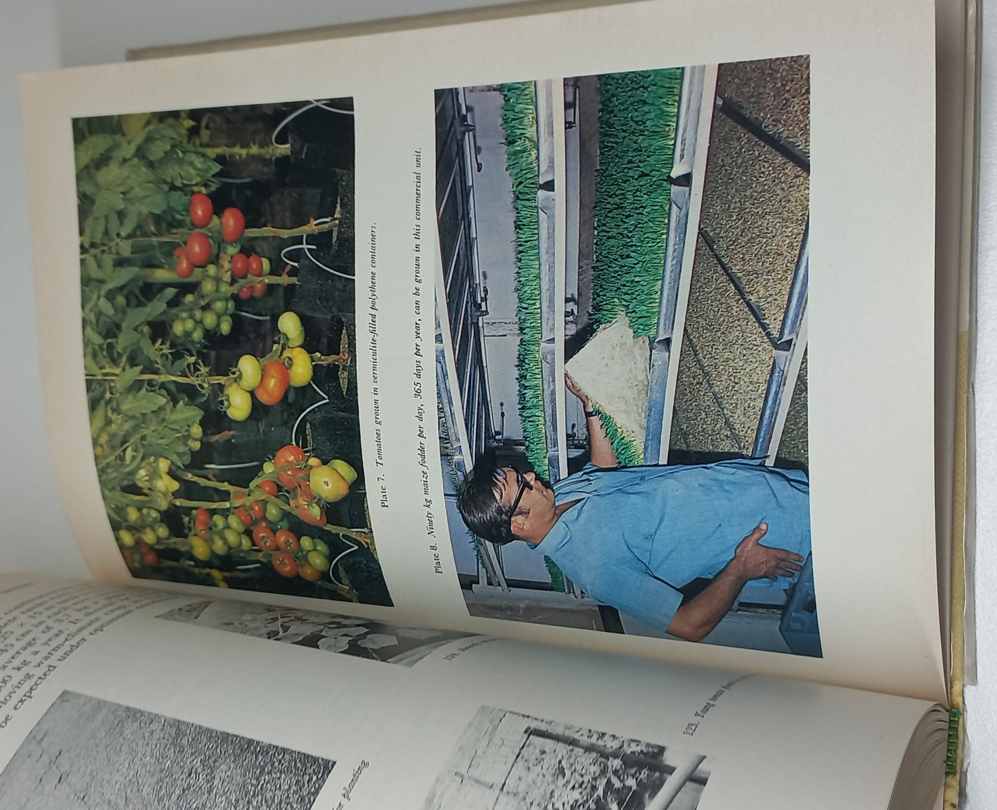Hydroponics: The Gardening Without Soil by Dudley Harris