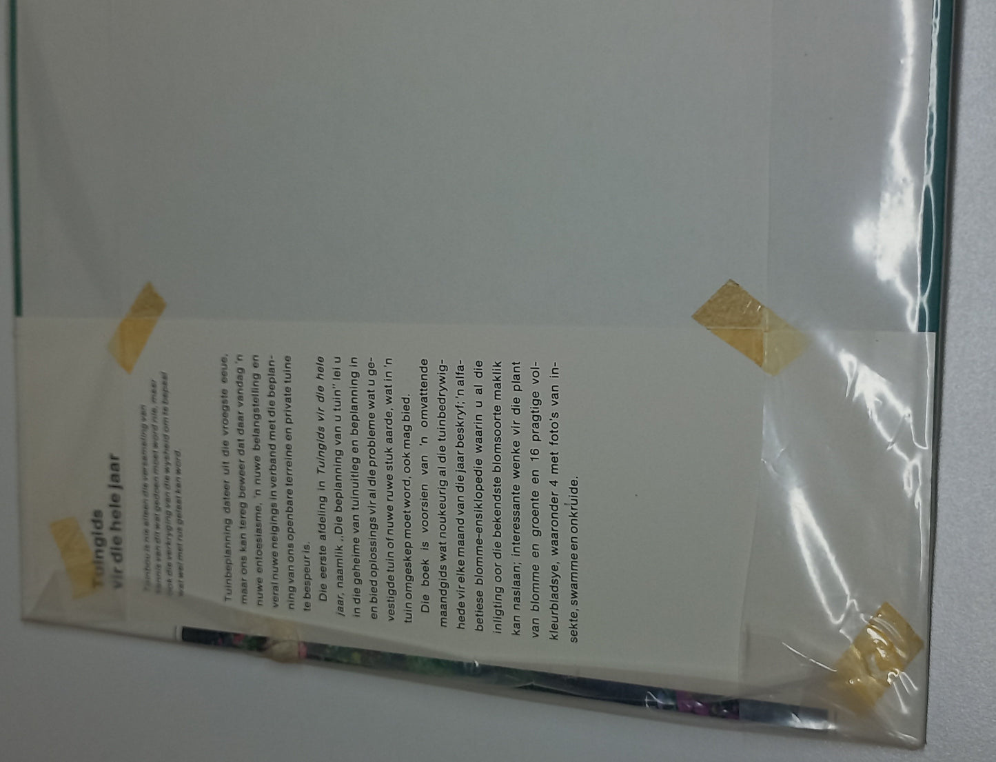 Jaar Plante Book Bundle