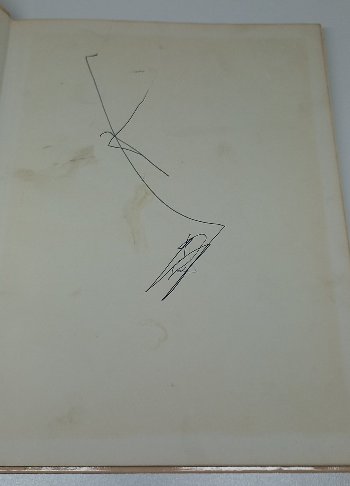 Herbs for the Table: South African Recipes & Herbal Advice by Lyndall Popper & Pamela Cullinan