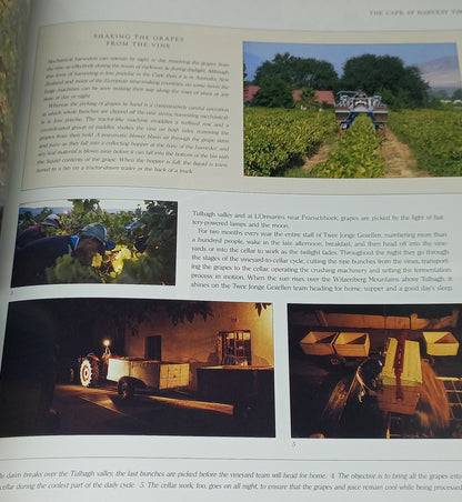 Cape Wines