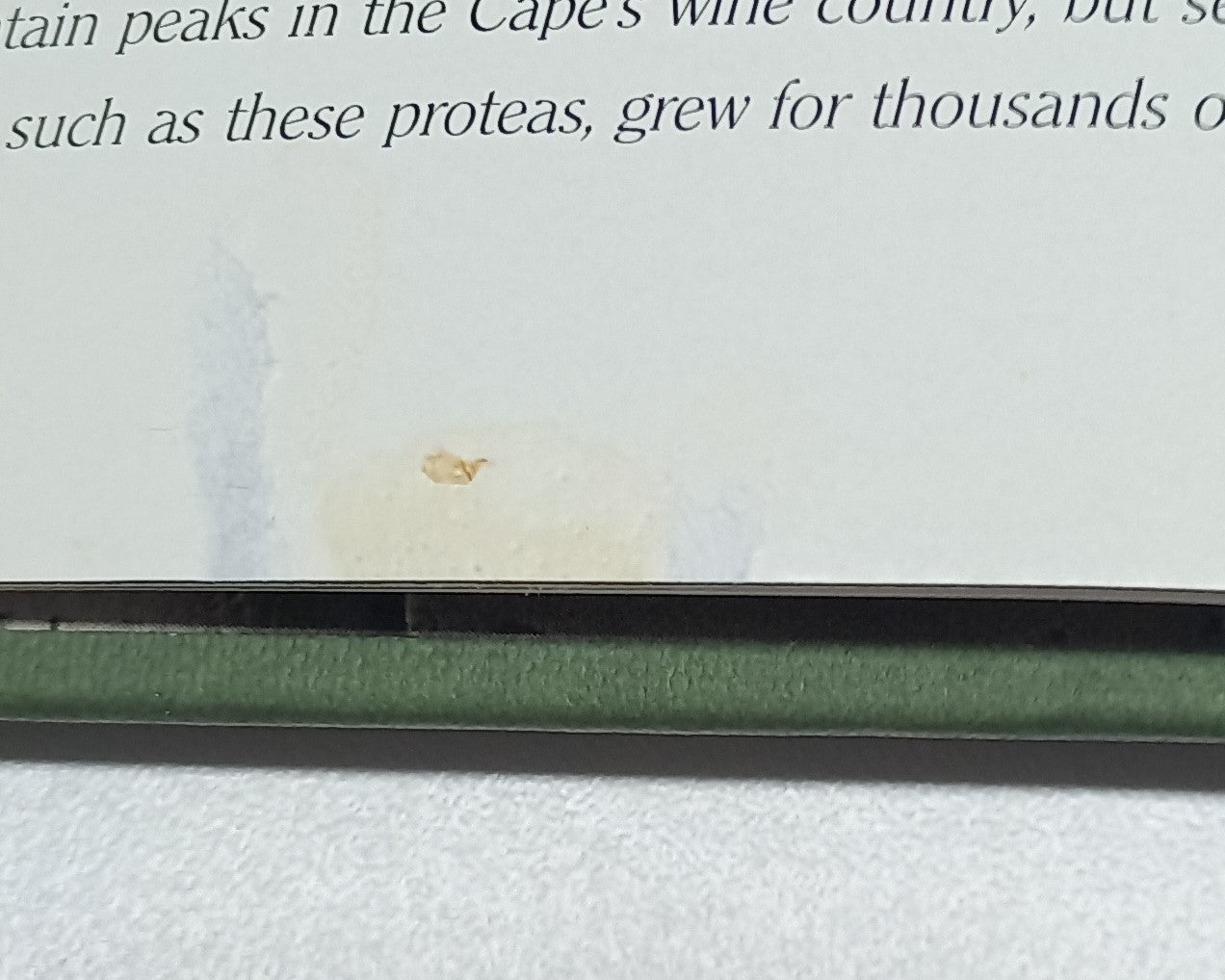 Cape Wines: Body & Soul by Alain Proust & Graham Knox