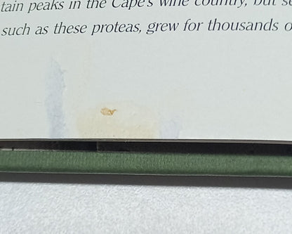 Cape Wines: Body & Soul by Alain Proust & Graham Knox