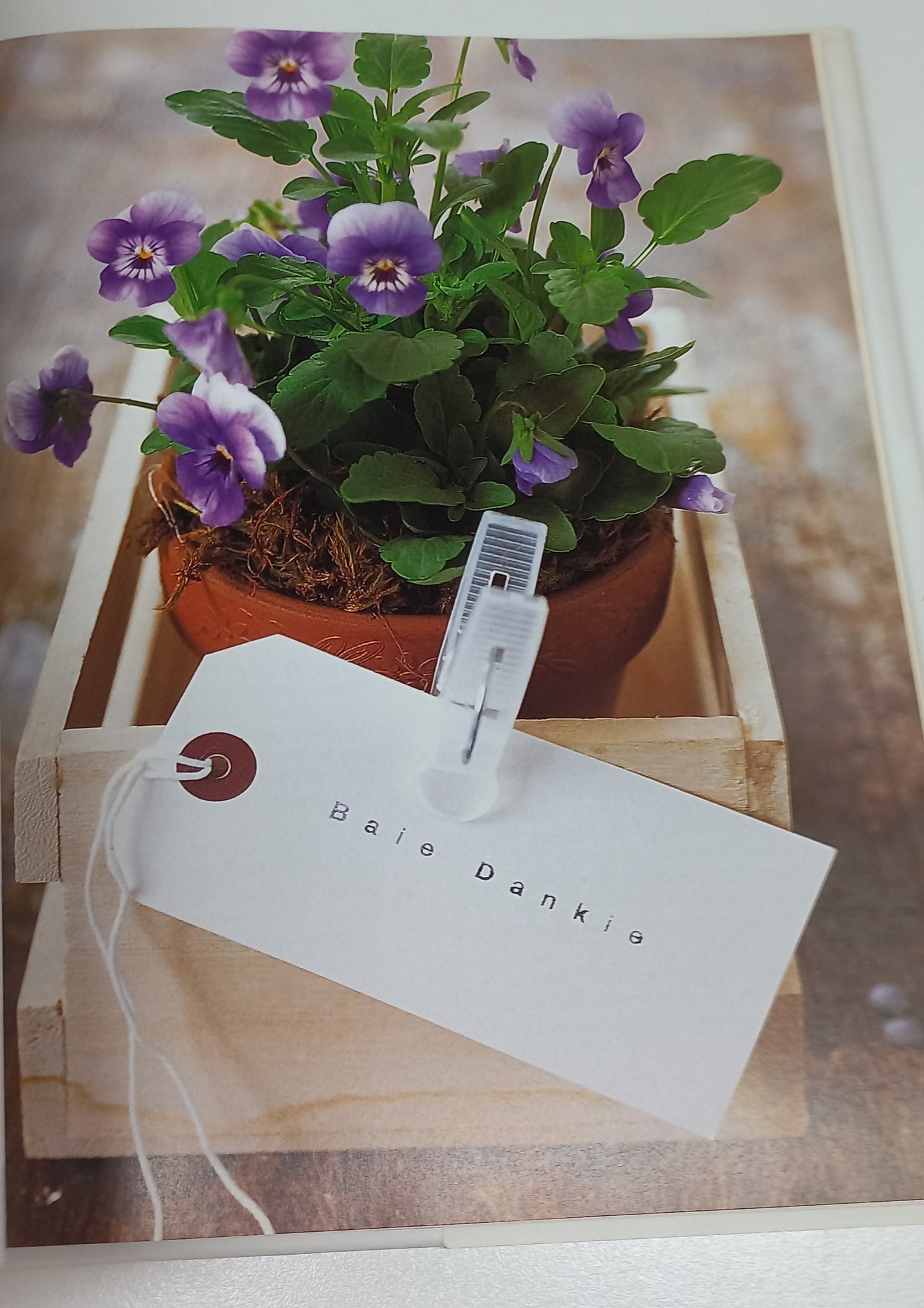 The Art of Giving: Gift Ideas to Delight the Senses by Liezel Norval-Kruger & Tina-Marie Malherbe