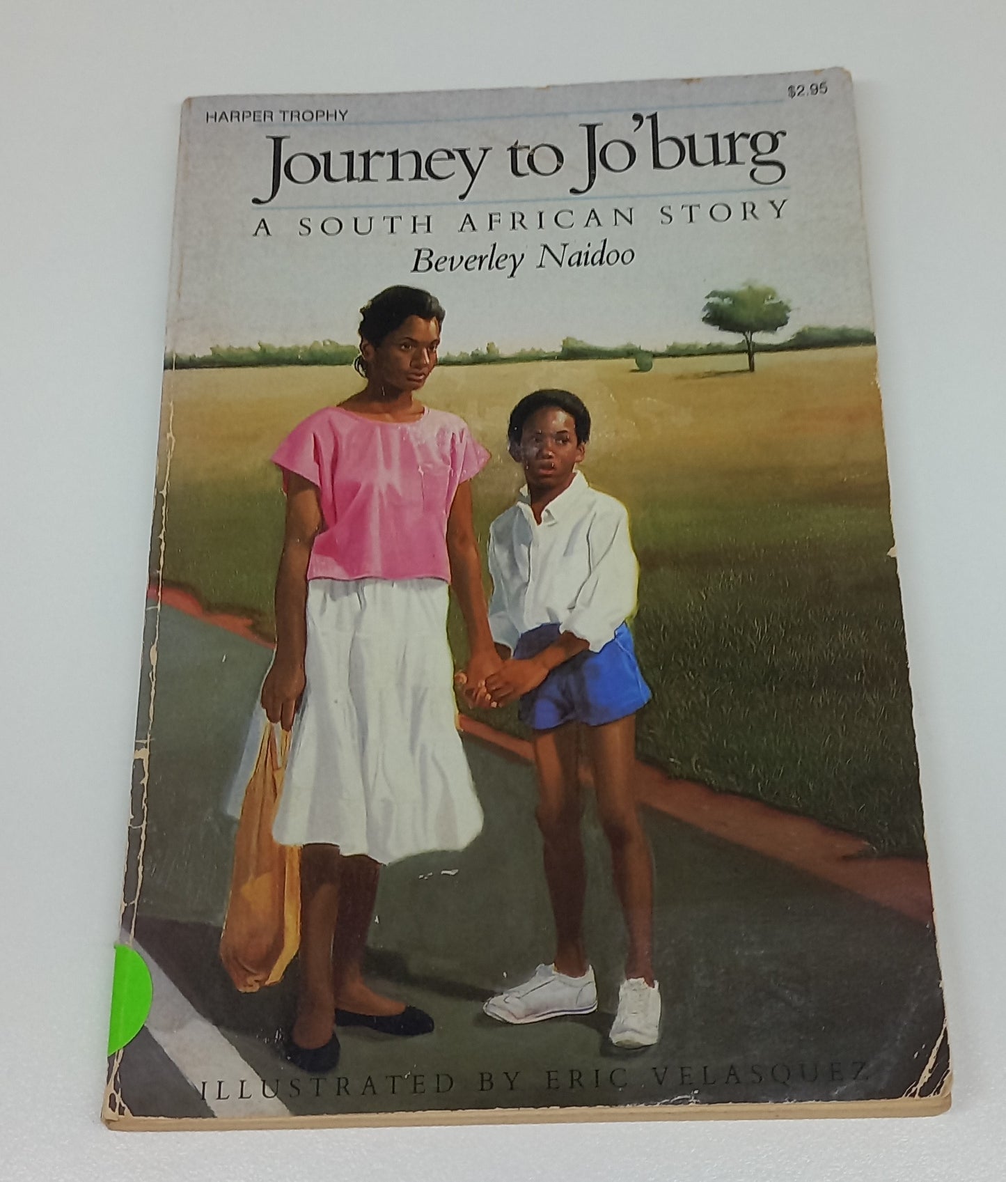 Journey to Jo'burg by Beverley Naidoo