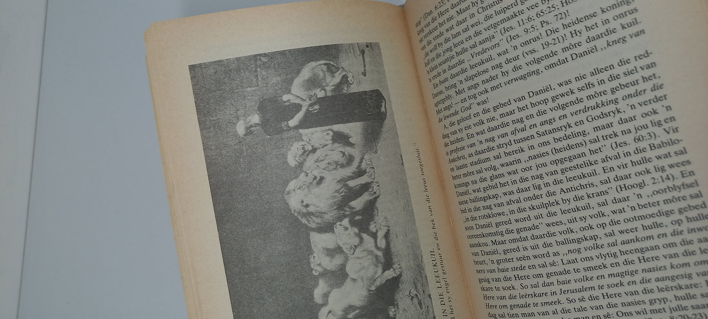 Daniel en die Eindtyd by Bennie Kleynhans