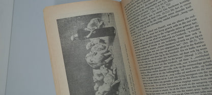 Daniel en die Eindtyd by Bennie Kleynhans