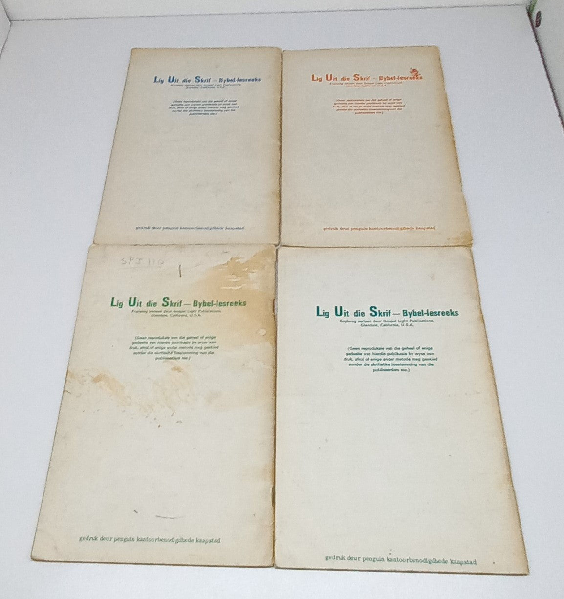 Bybellesse Book Bundle