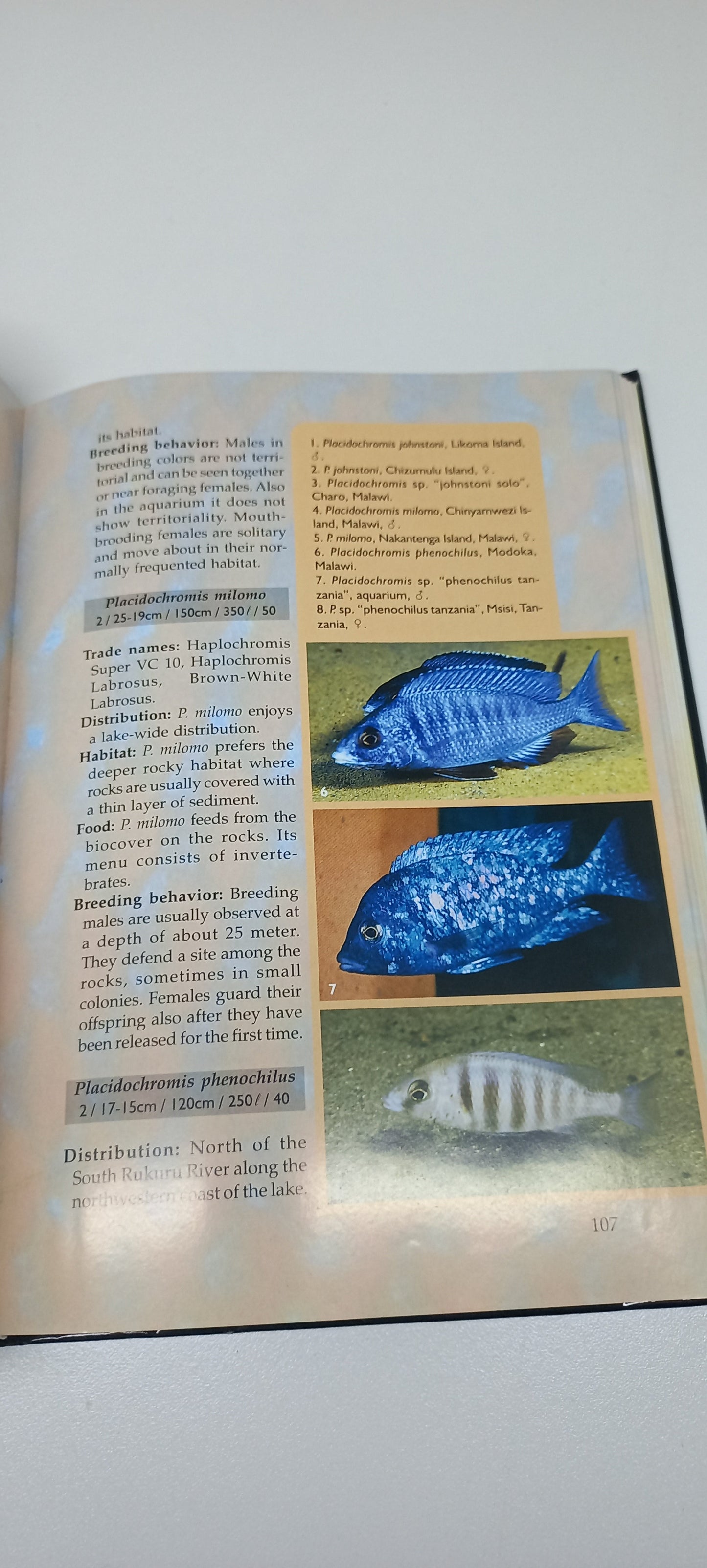 Back to Nature: Guide to Malawi Cichlids