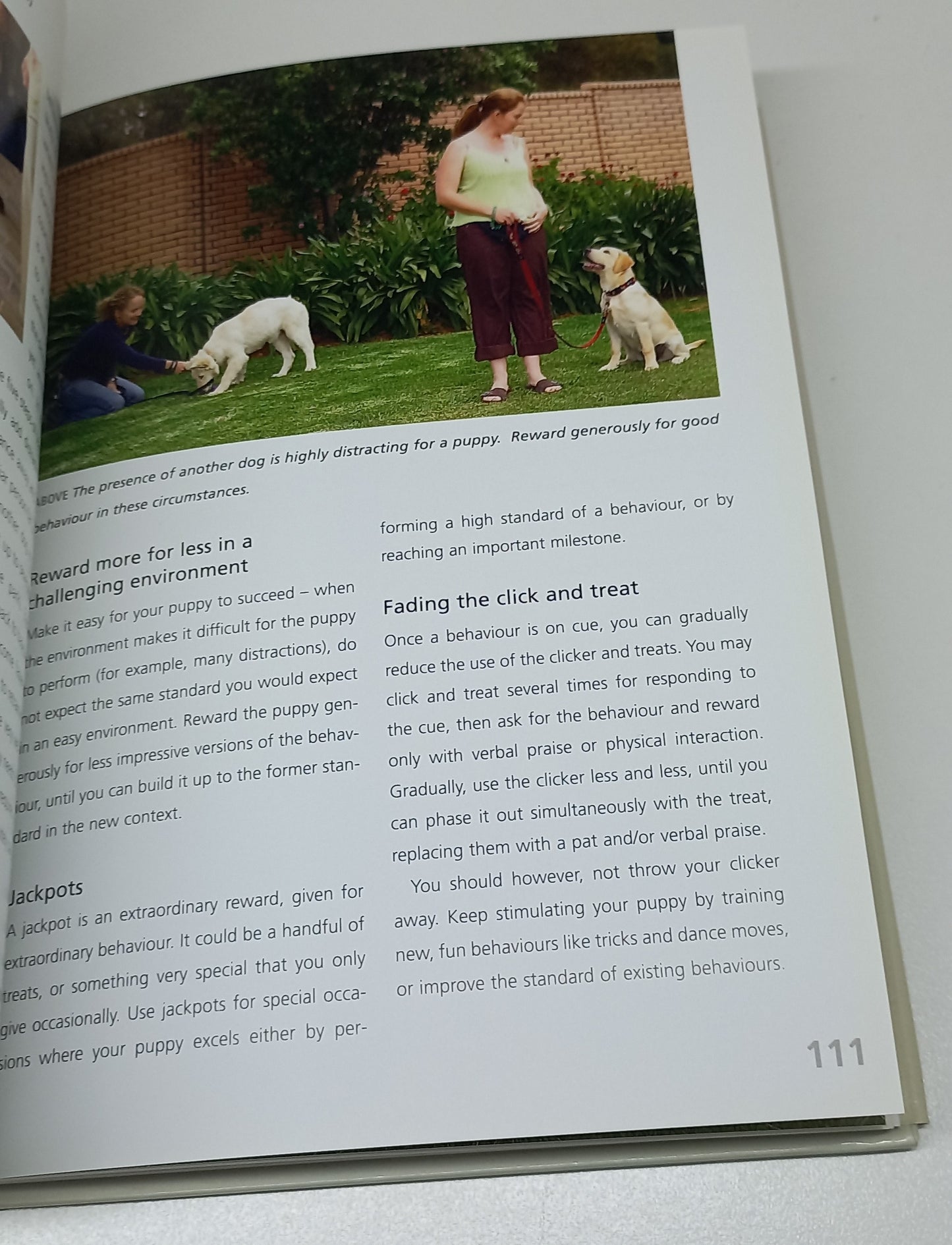 Complete Puppy School by Dr Quixi Sonntag