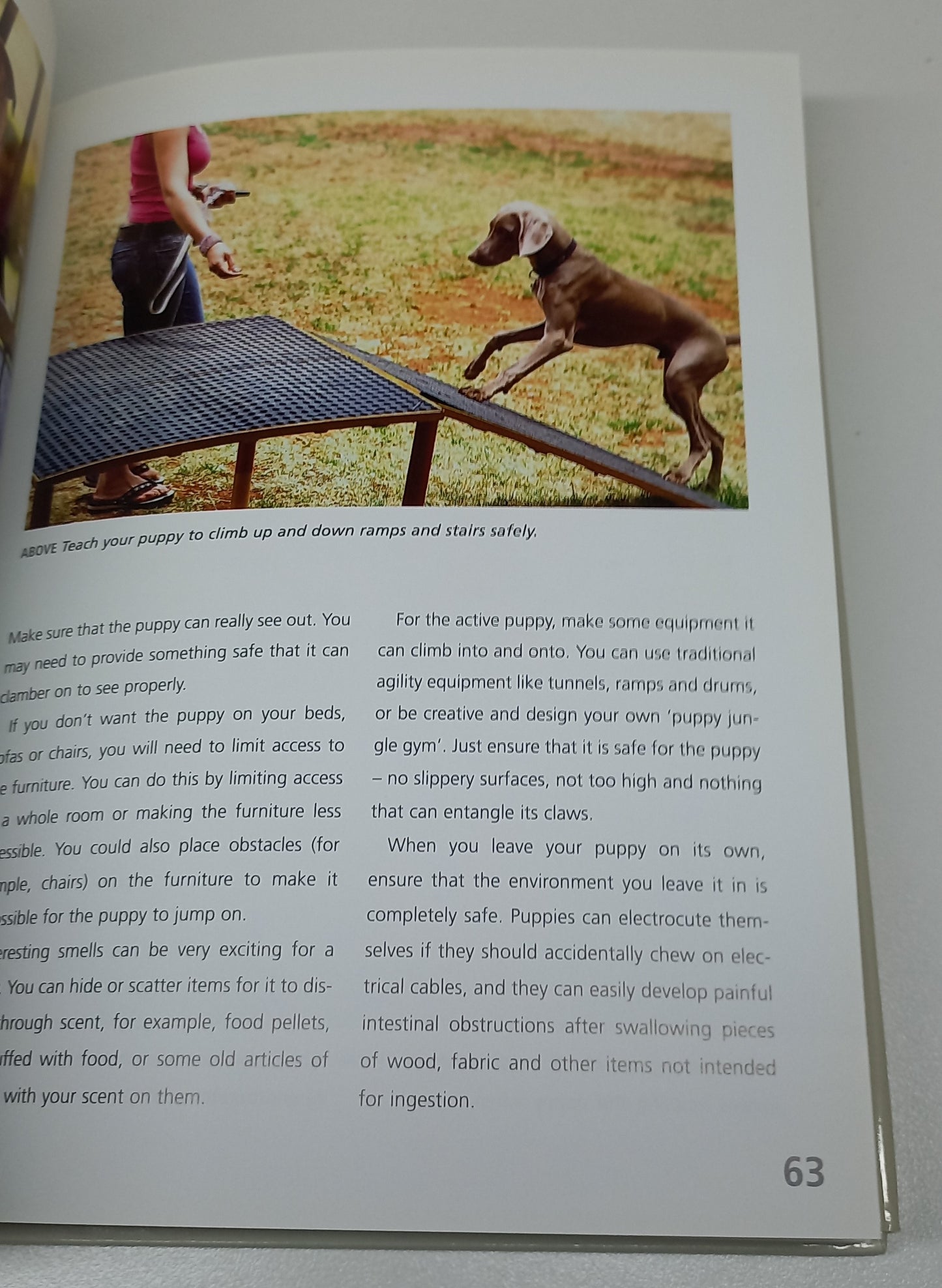 Complete Puppy School by Dr Quixi Sonntag