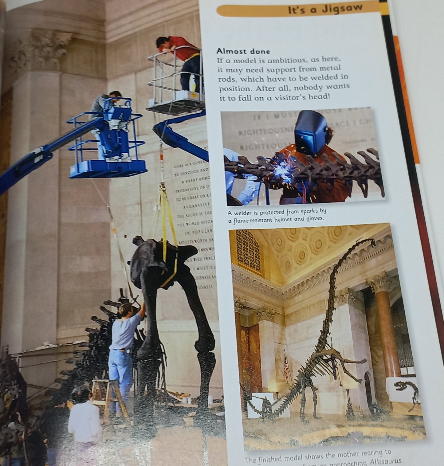 Dinosaur Encyclopedia