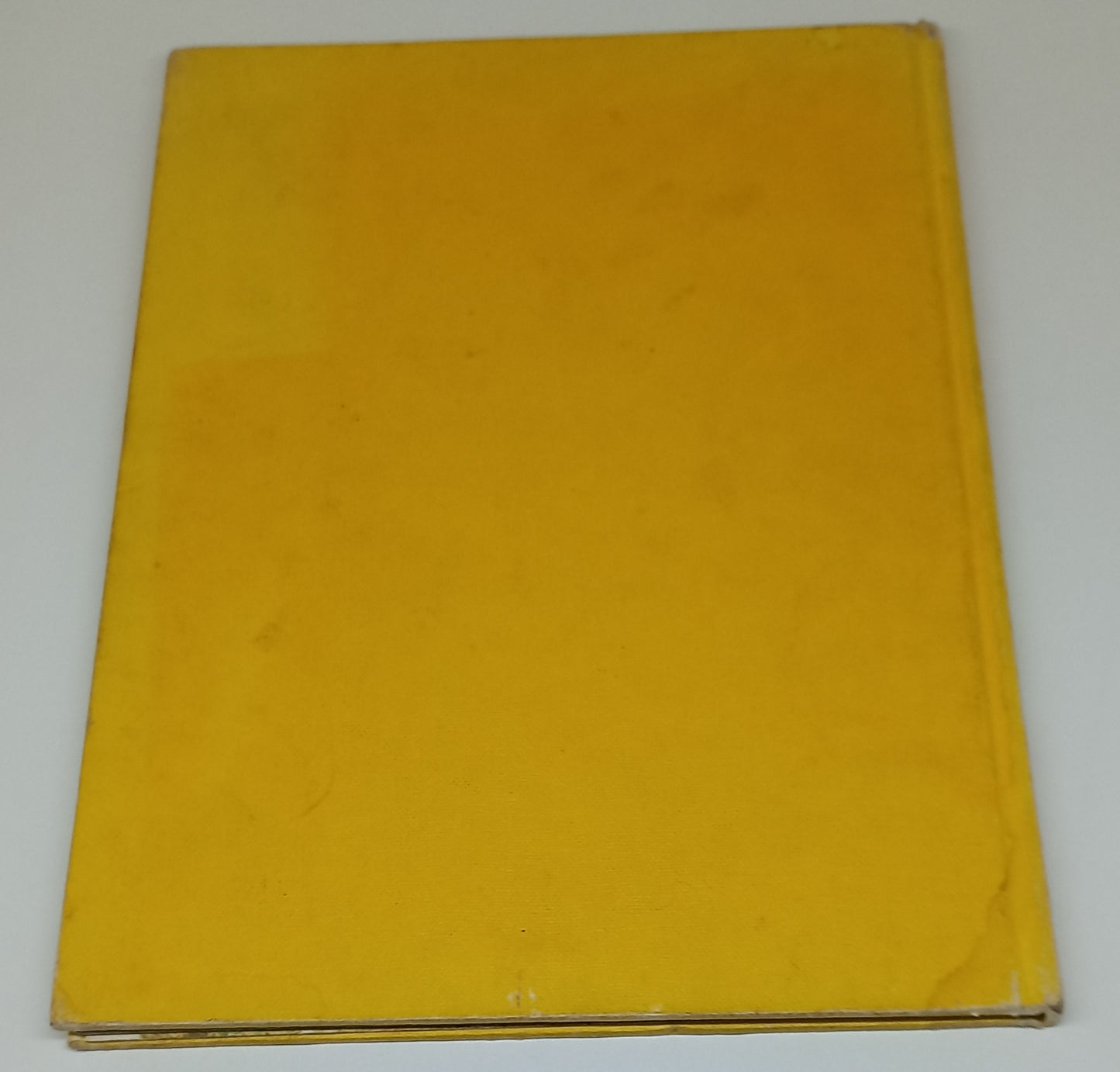 All Colour Book of Horses