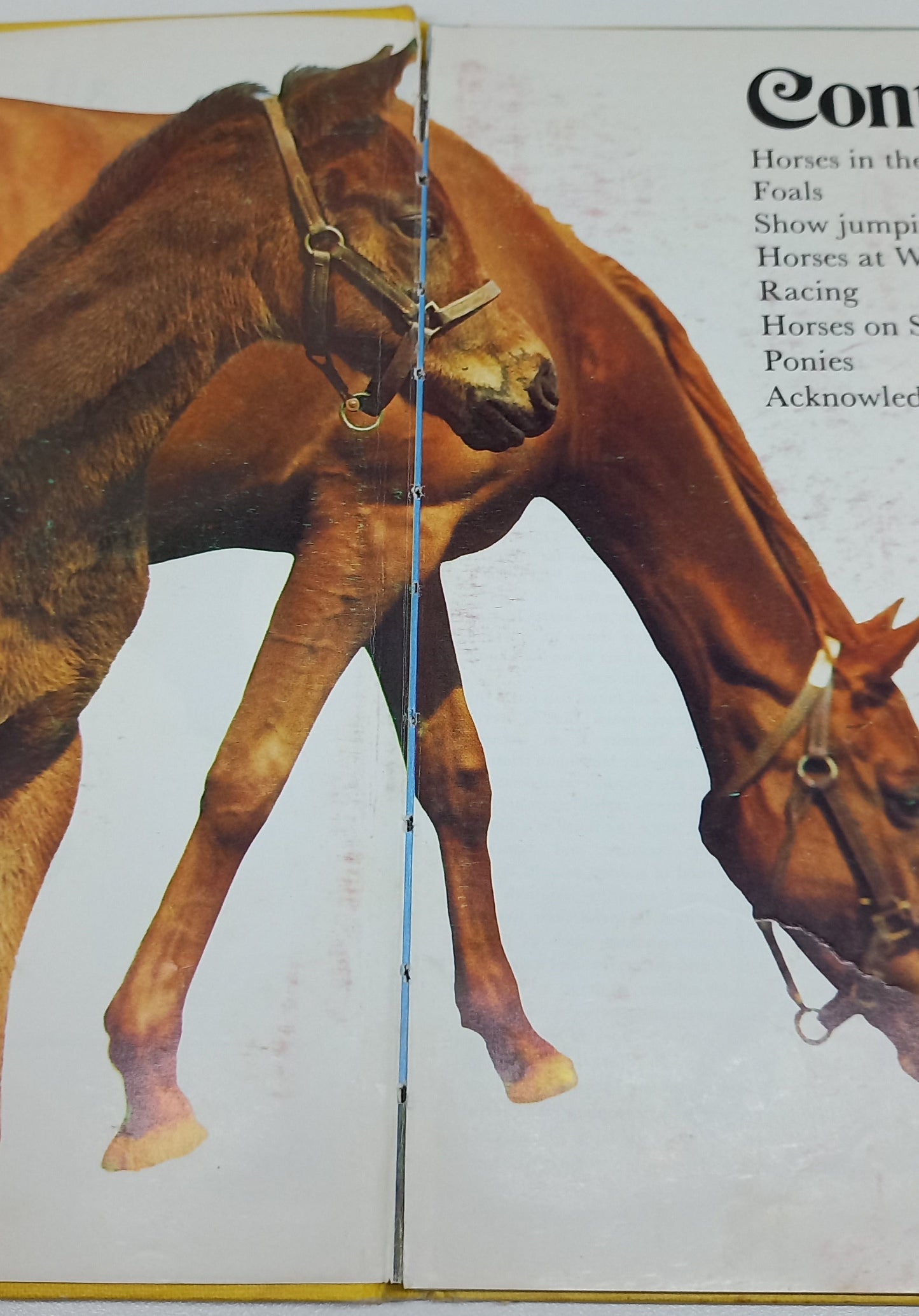 All Colour Book of Horses