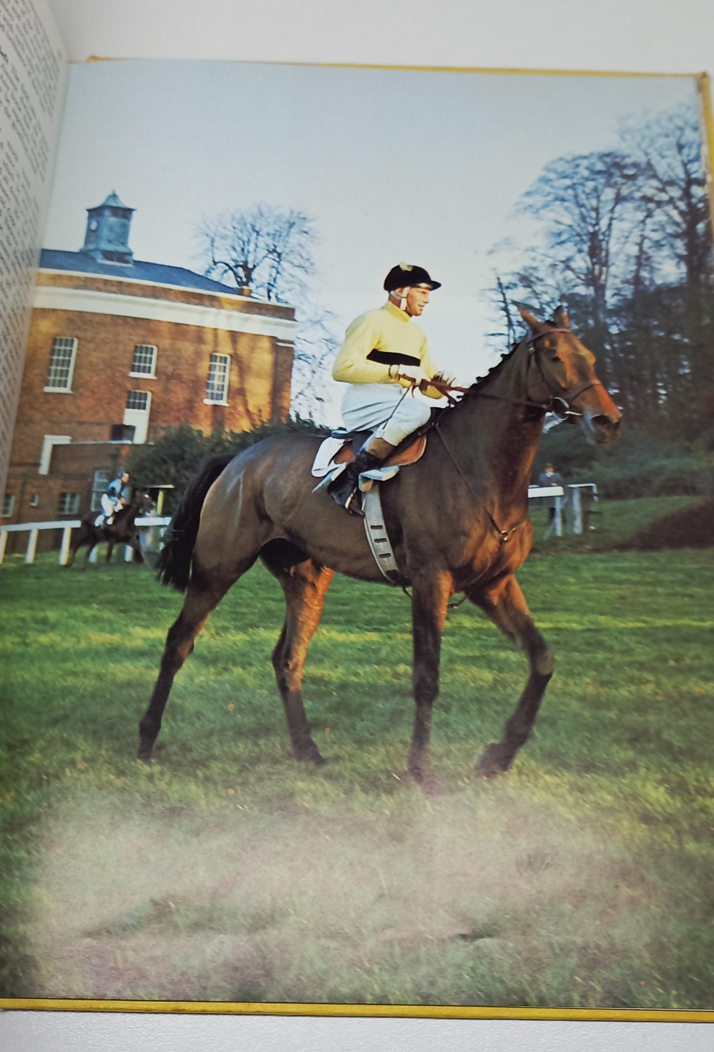 All Colour Book of Horses by Elizabeth Johnson