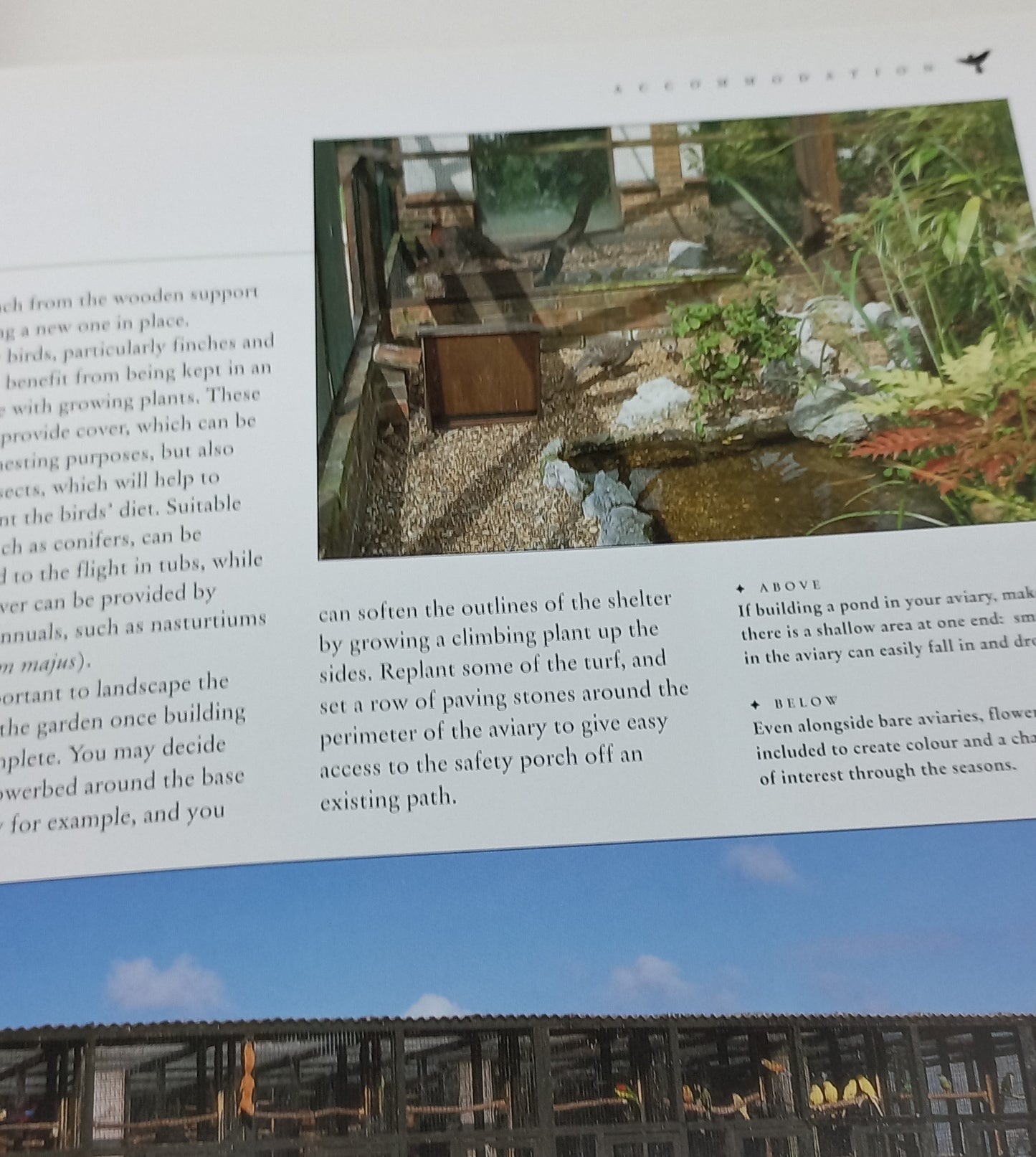 The Ultimate Encyclopedia of Caged and Aviary Birds by David Alderton (Practical Reference Guide)