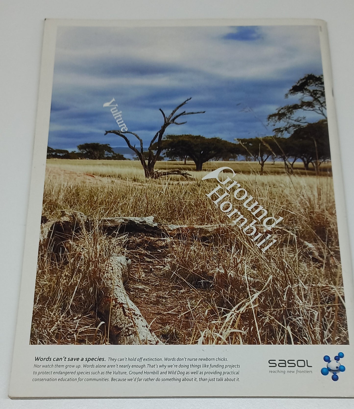 Africa Birds & Birding: An Africa Geographic Magazine December 2007/January 2008 Volume 12 Number 6