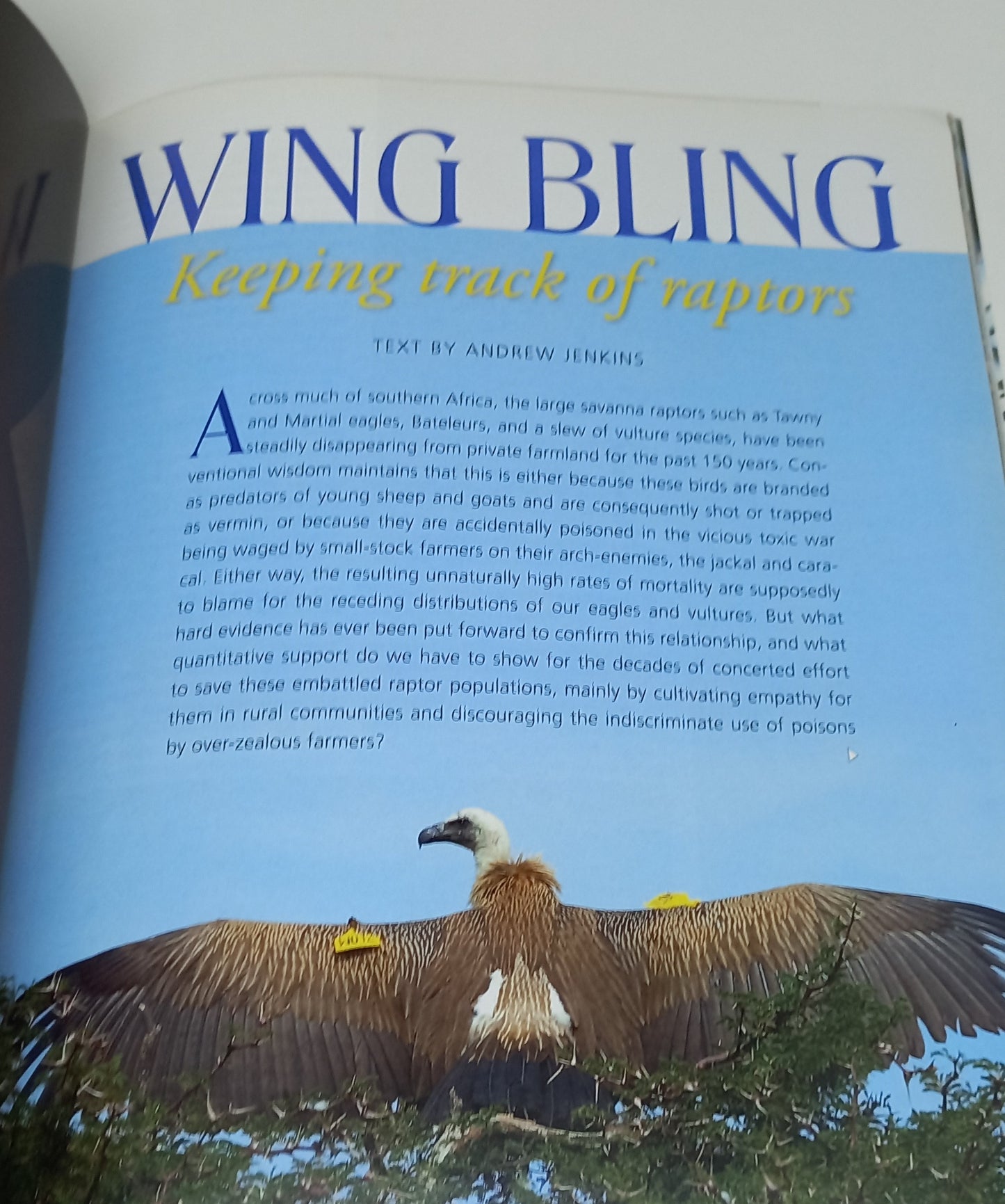Africa Birds & Birding: An Africa Geographic Magazine December 2007/January 2008 Volume 12 Number 6