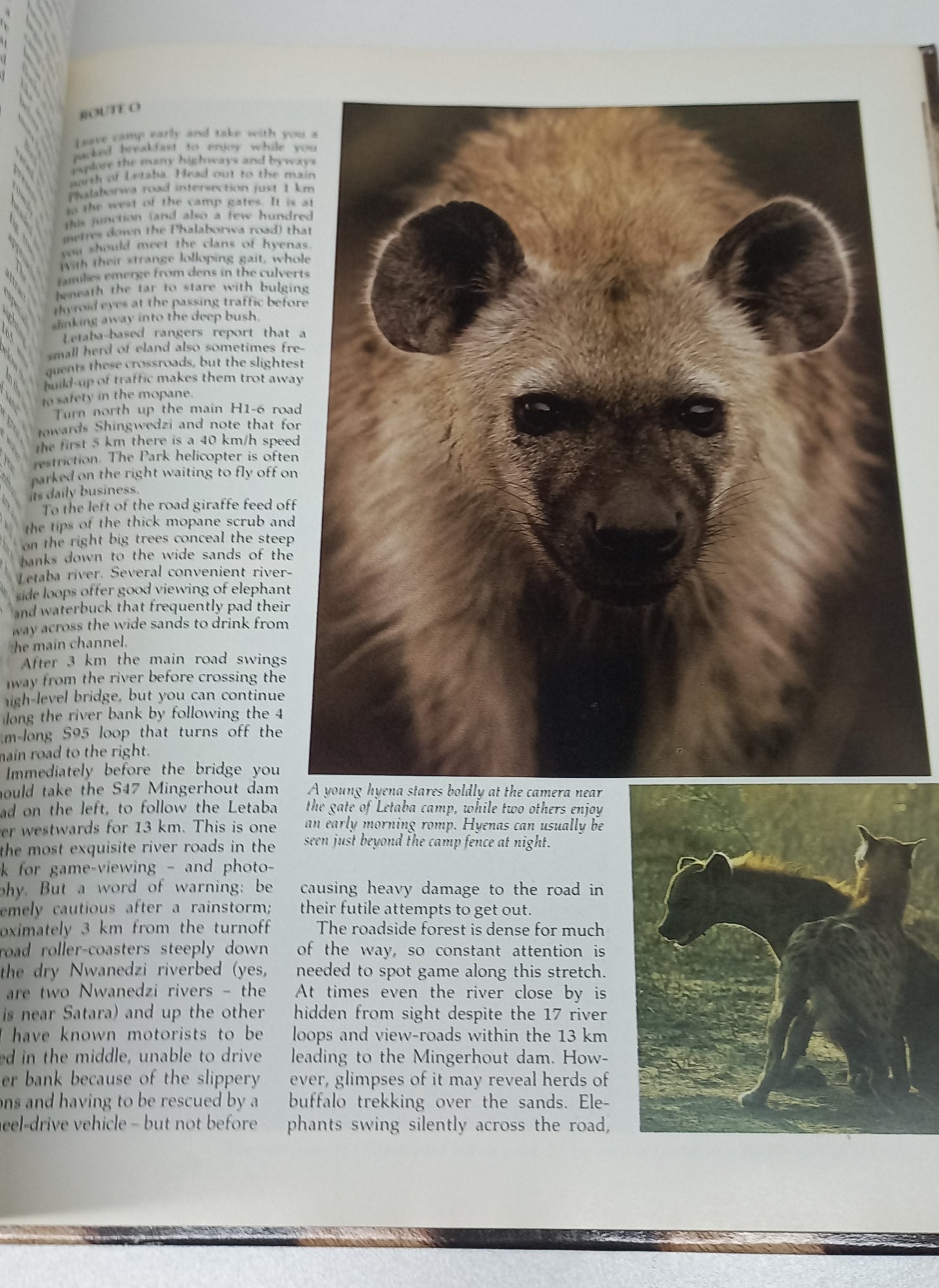Portrait of a Kruger National Park by David Paynter & Wilf Nussey (1st Edition 1986)
