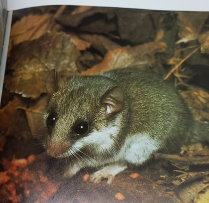 South Africa's Wildlife Heritage by Anthony Bannister & Peter Johnson