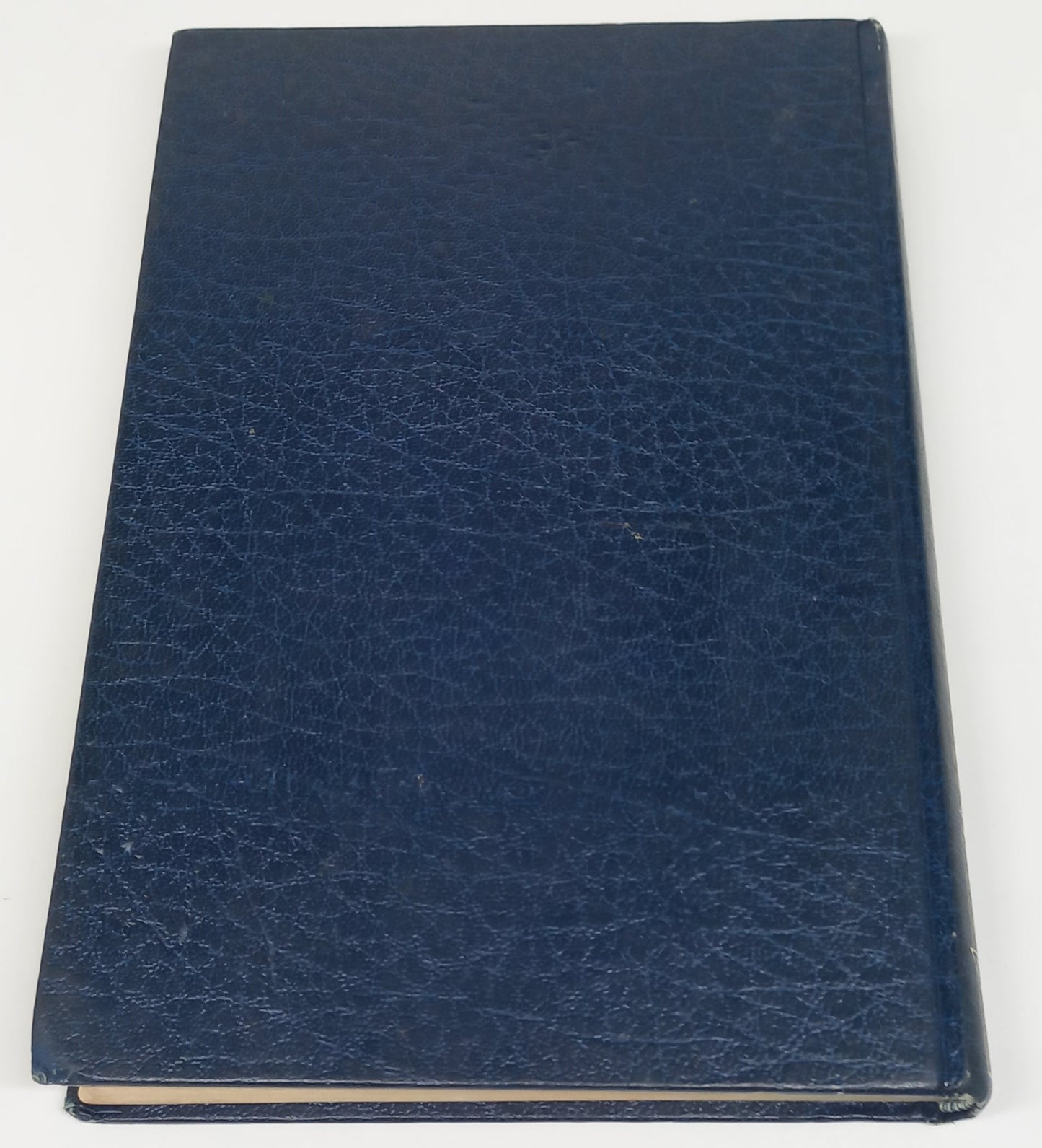 Die Lewende Nuwe Testament Bible