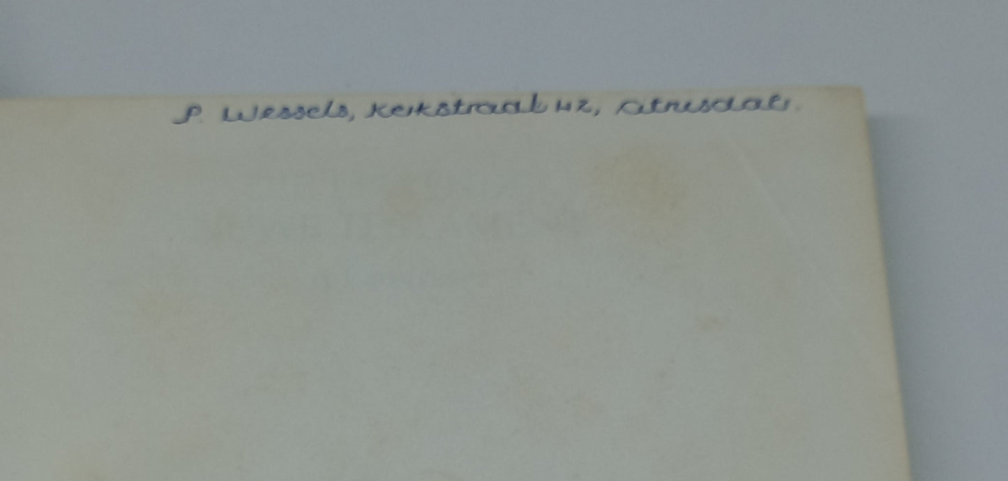 Die Lewende Nuwe Testament Bible: 'n Parafrase