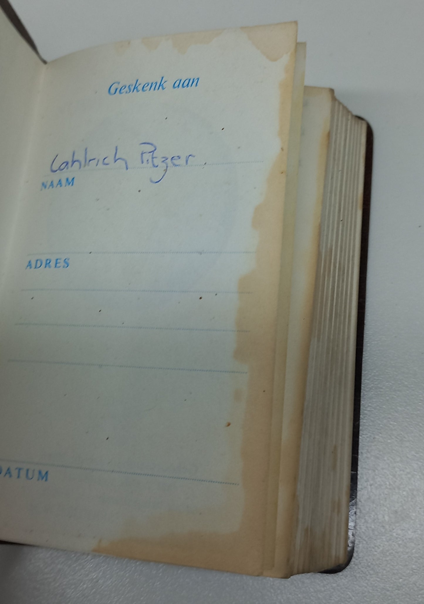 Nuwe Testament en Psalms (POCKET-SIZED BIBLE)