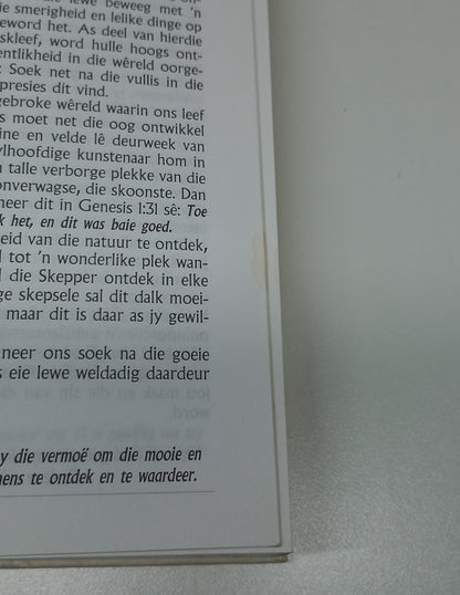 Meer as Die Lewe: 'n Bybelse Dagboek by Solly Ozrovech