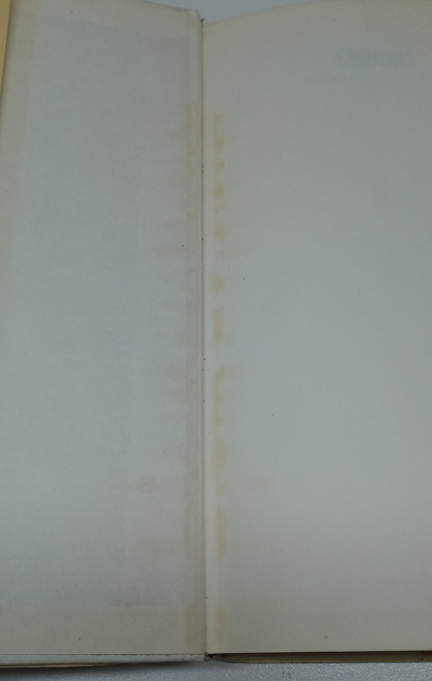 Champ! The Brian Mitchell Story with Rodney Hartman