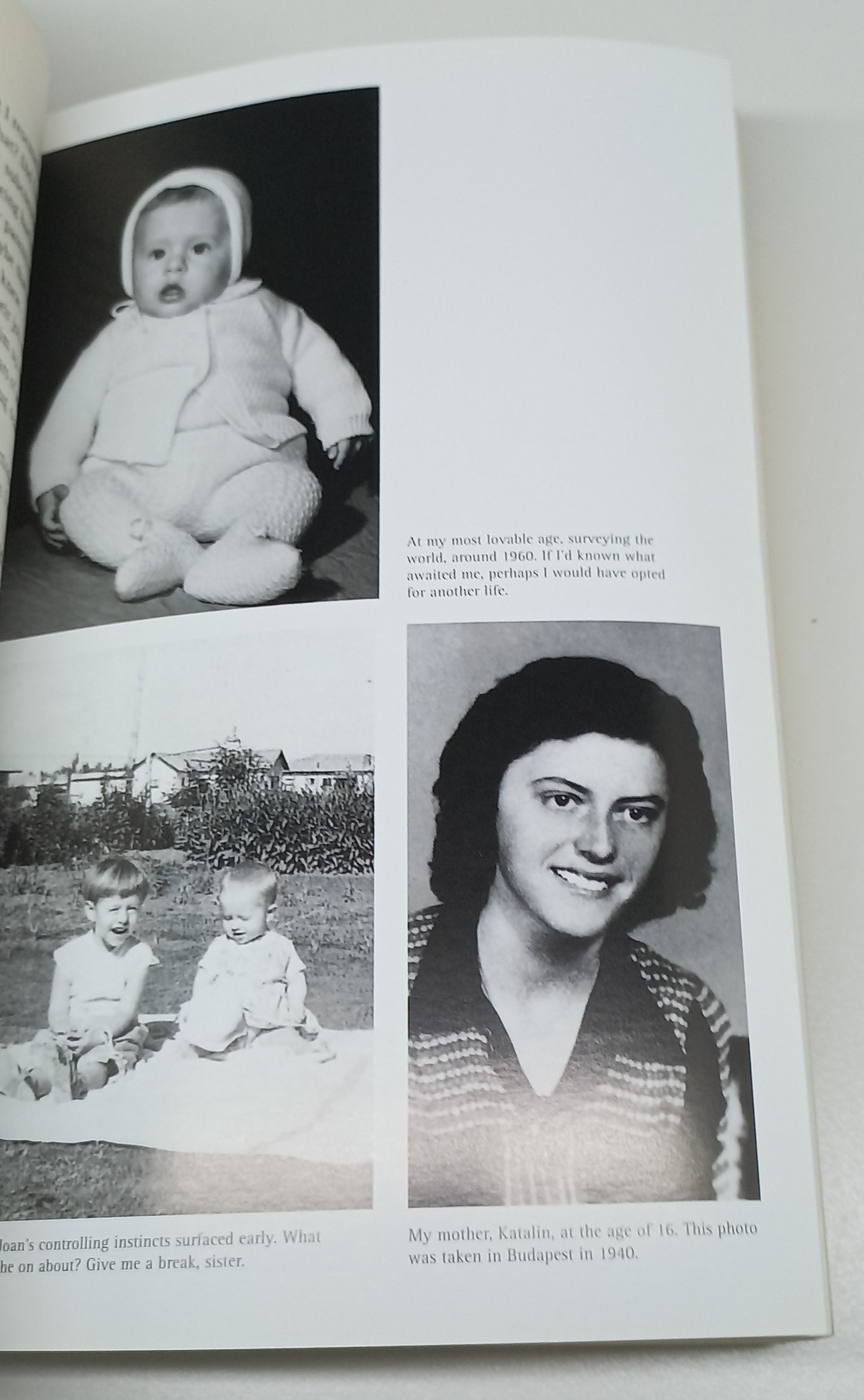 Dragons & Butterflies: Sentenced To Die, Choosing To Live A Memoir by Shani Krebs