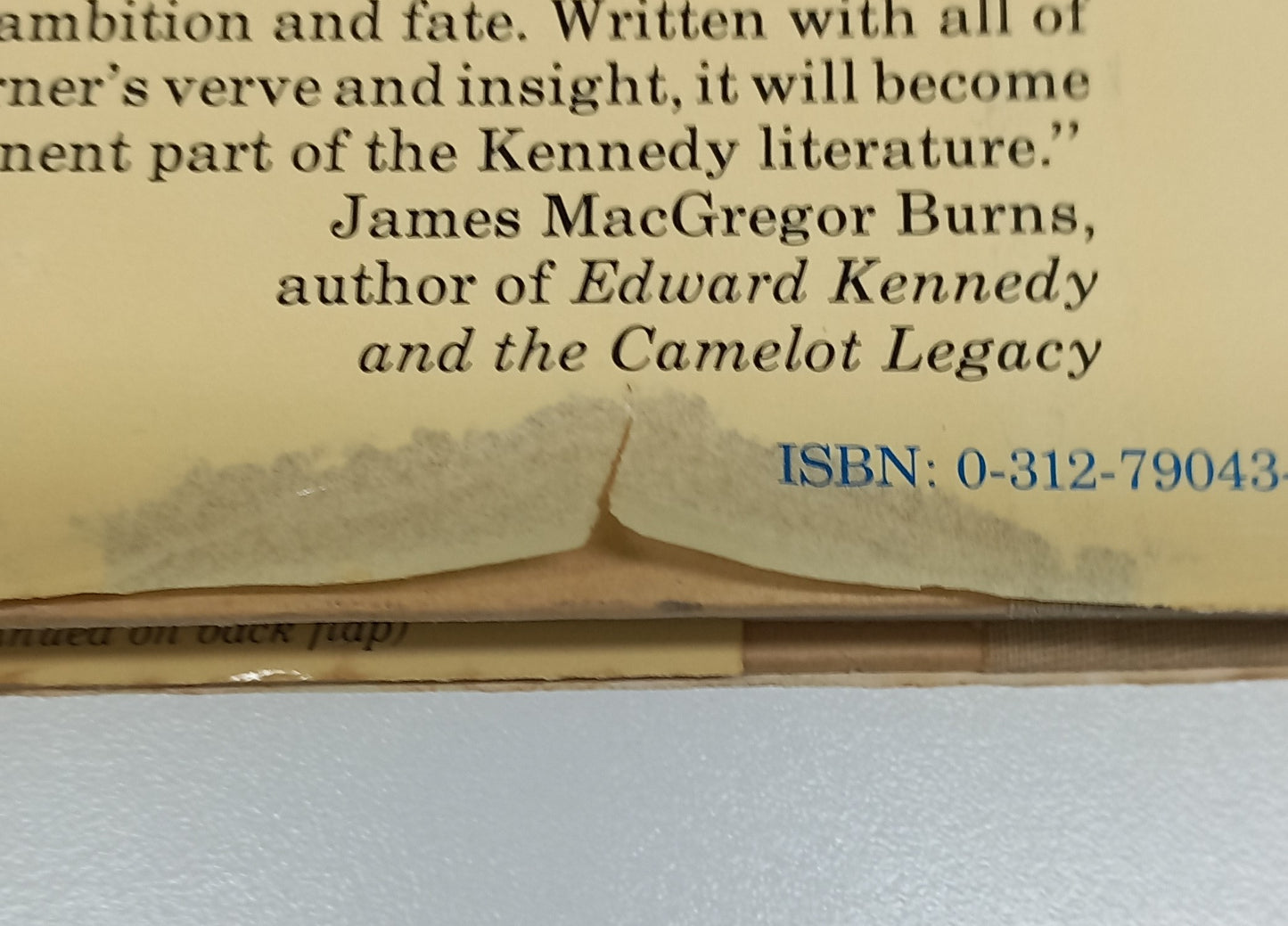 Ted and the Kennedy Legend