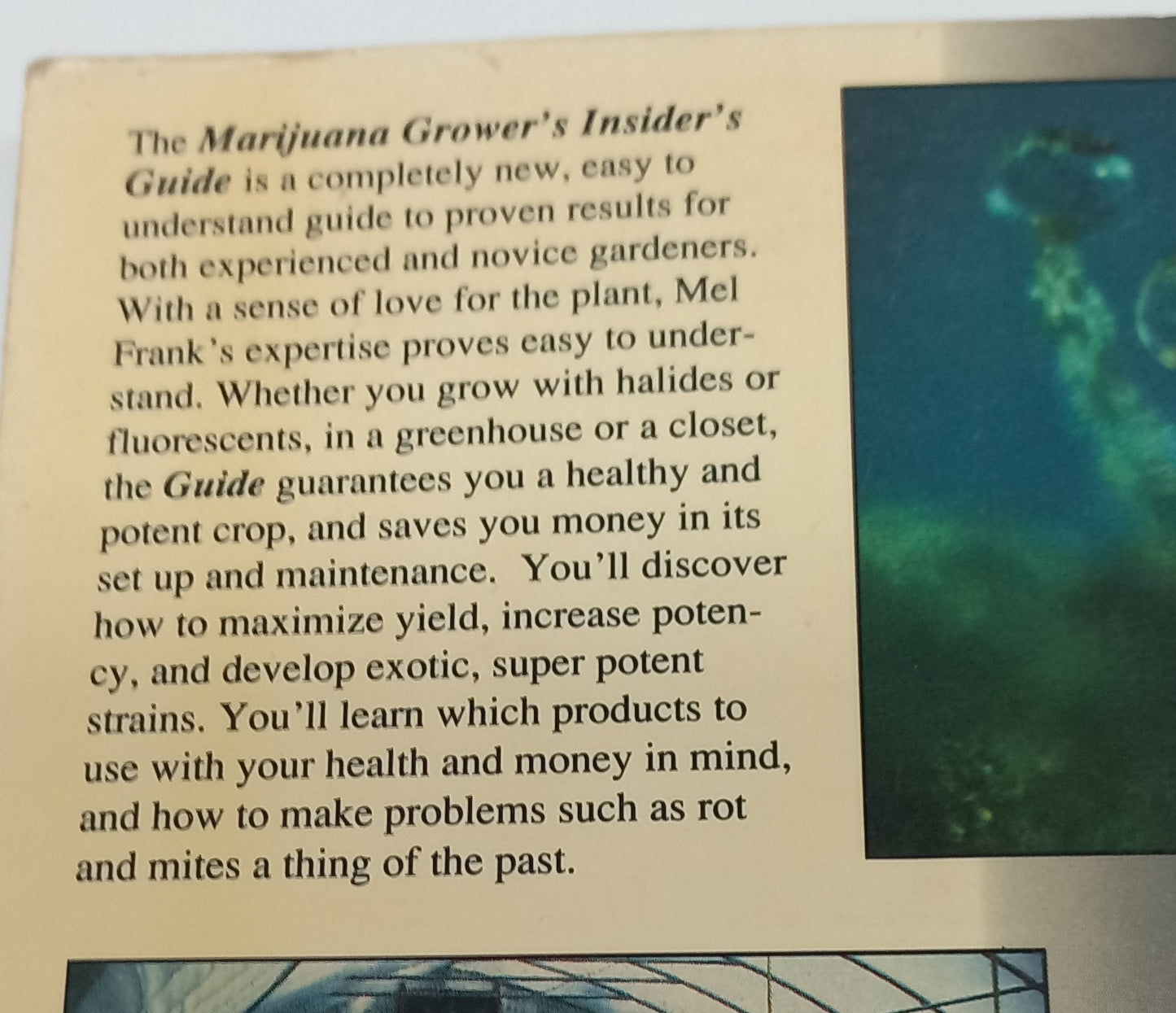 Marijuana Grower's Insider's Guide